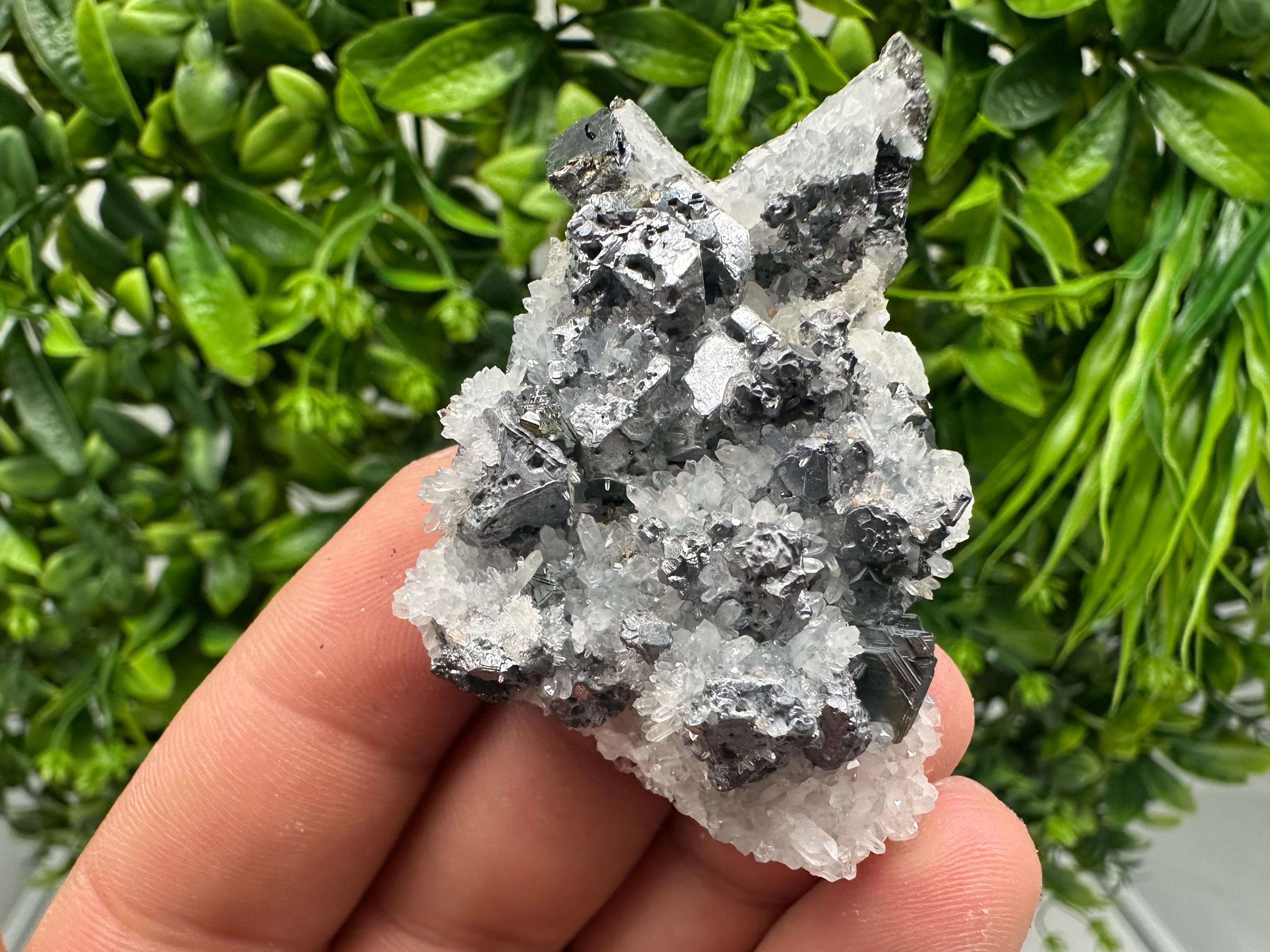 Rare Galena Sphalerite Pyrite Mineral Specimen: Krushev Dol Mine, Bulgaria