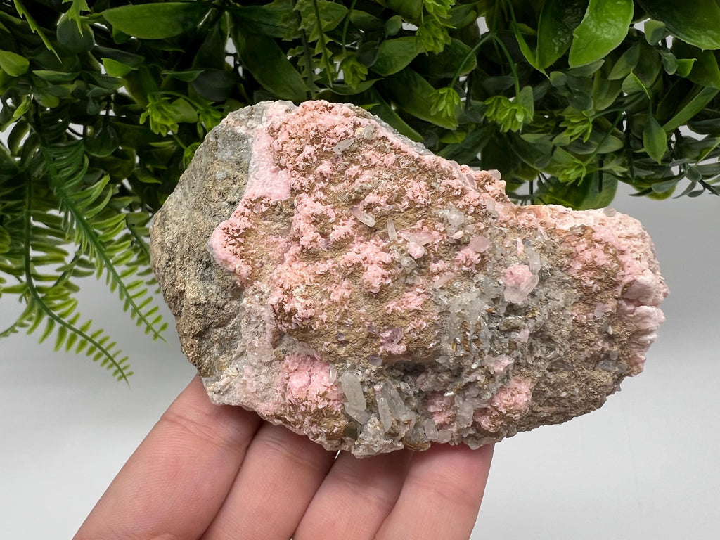 Pink Rhodochrosite Crystal: Starnica Mine, Bulgaria - Home Decor Stone