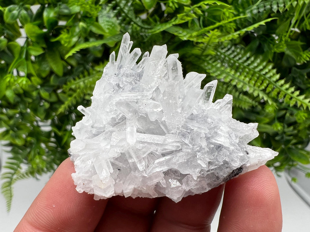 Borieva Mine Transparent Quartz Cluster, Natural Crystal Specimen