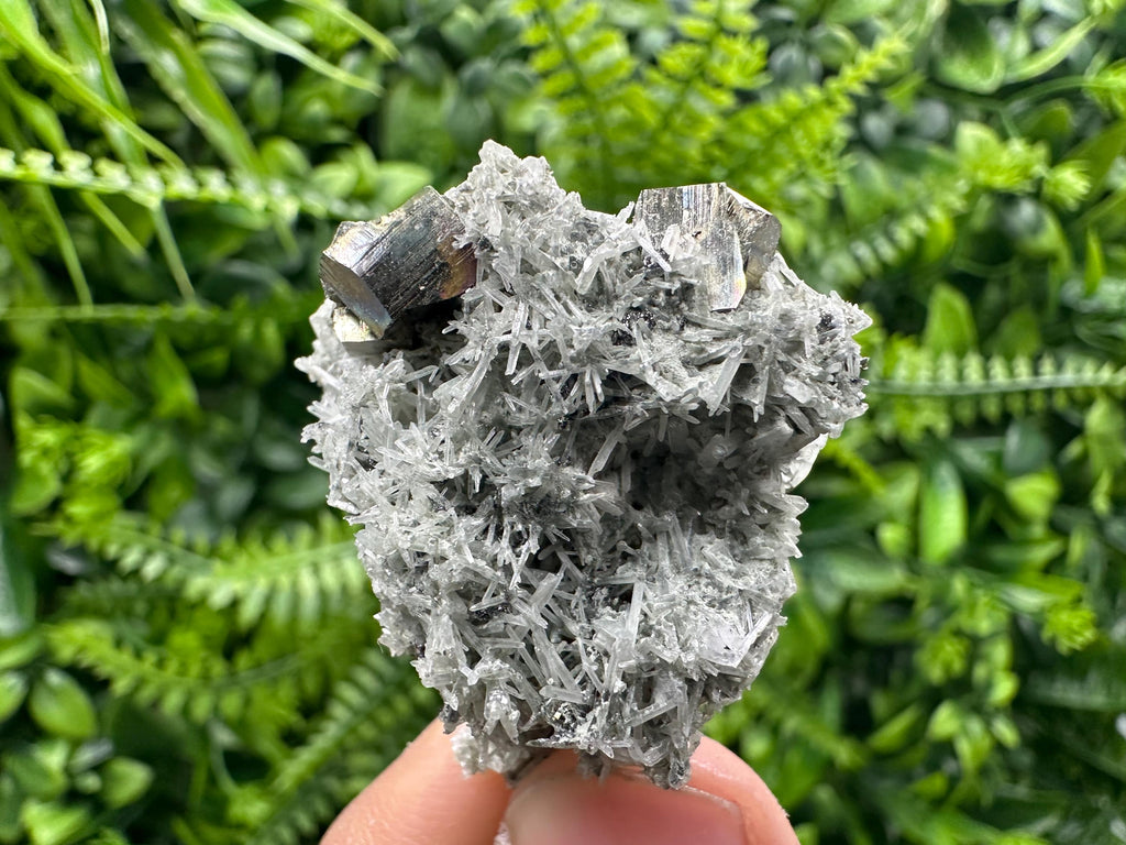 Pyrite on Green Quartz Mineral Specimen, Borieva Mine Crystal