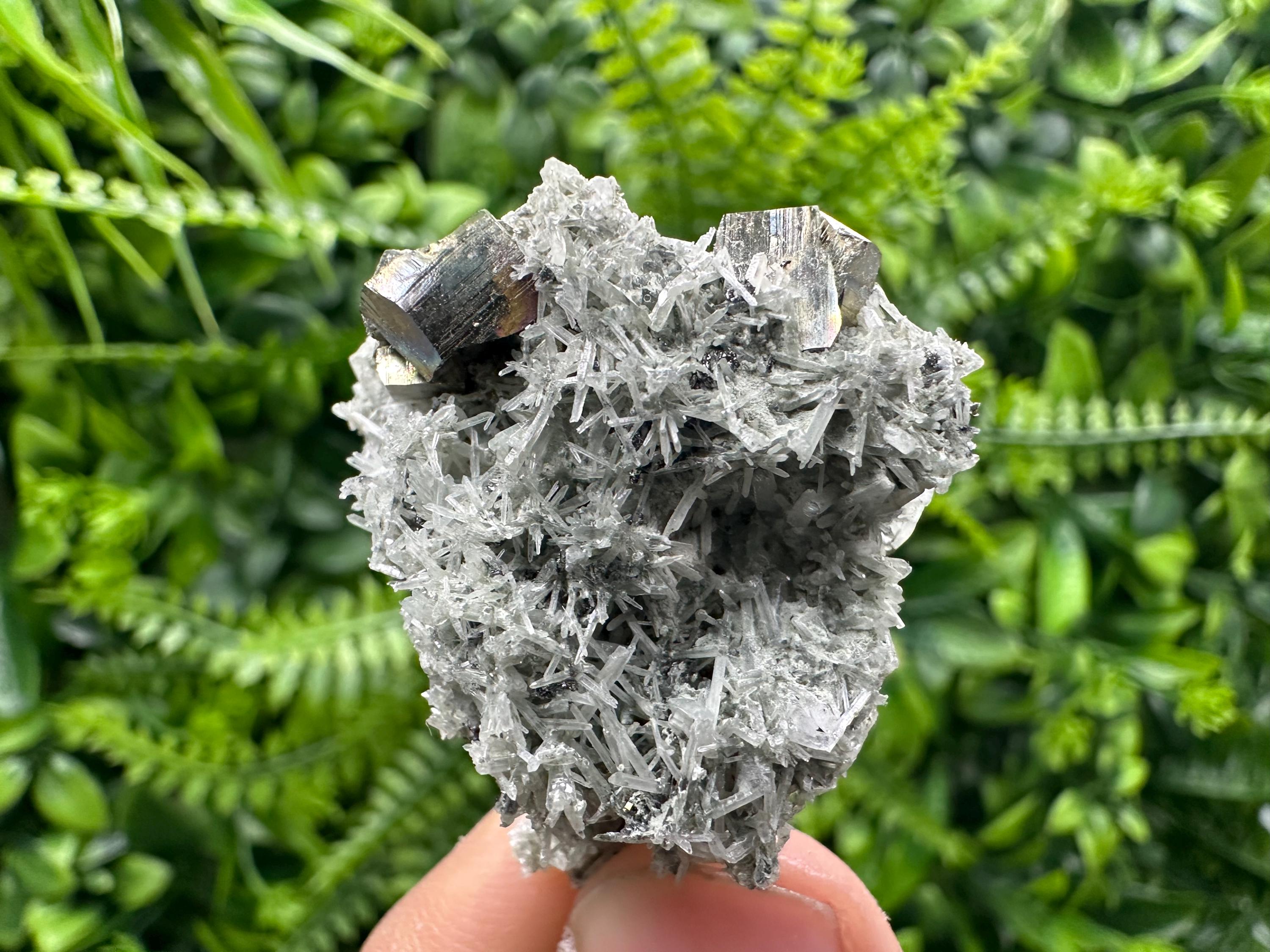 Pyrite on Green Quartz Mineral Specimen, Borieva Mine Crystal