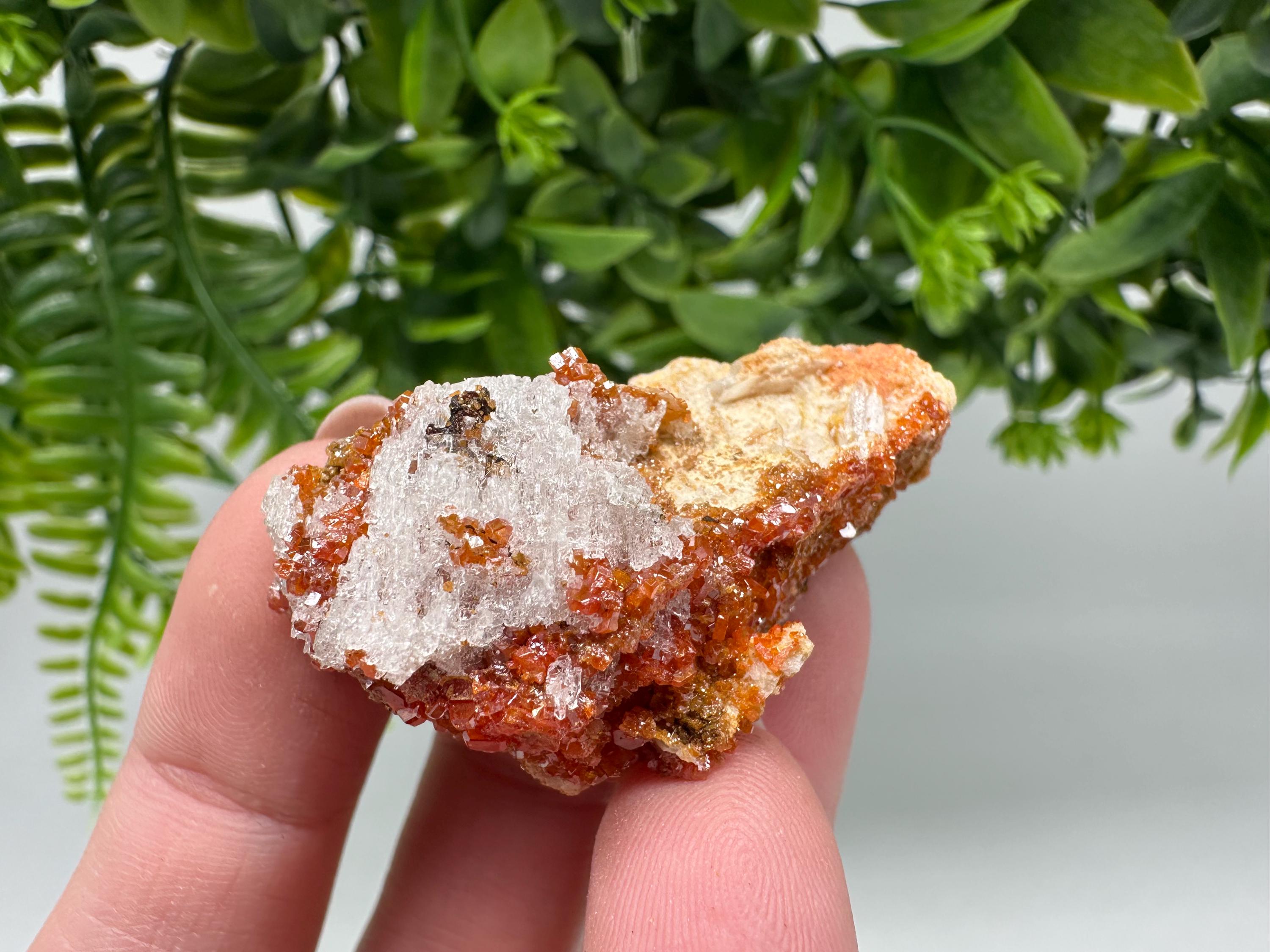 Red Vanadinite on Barite from Marocco,crystal minerals Speciment cluster Vanadinite crystal Vanadinite Geology Vanadinite cluster minerals