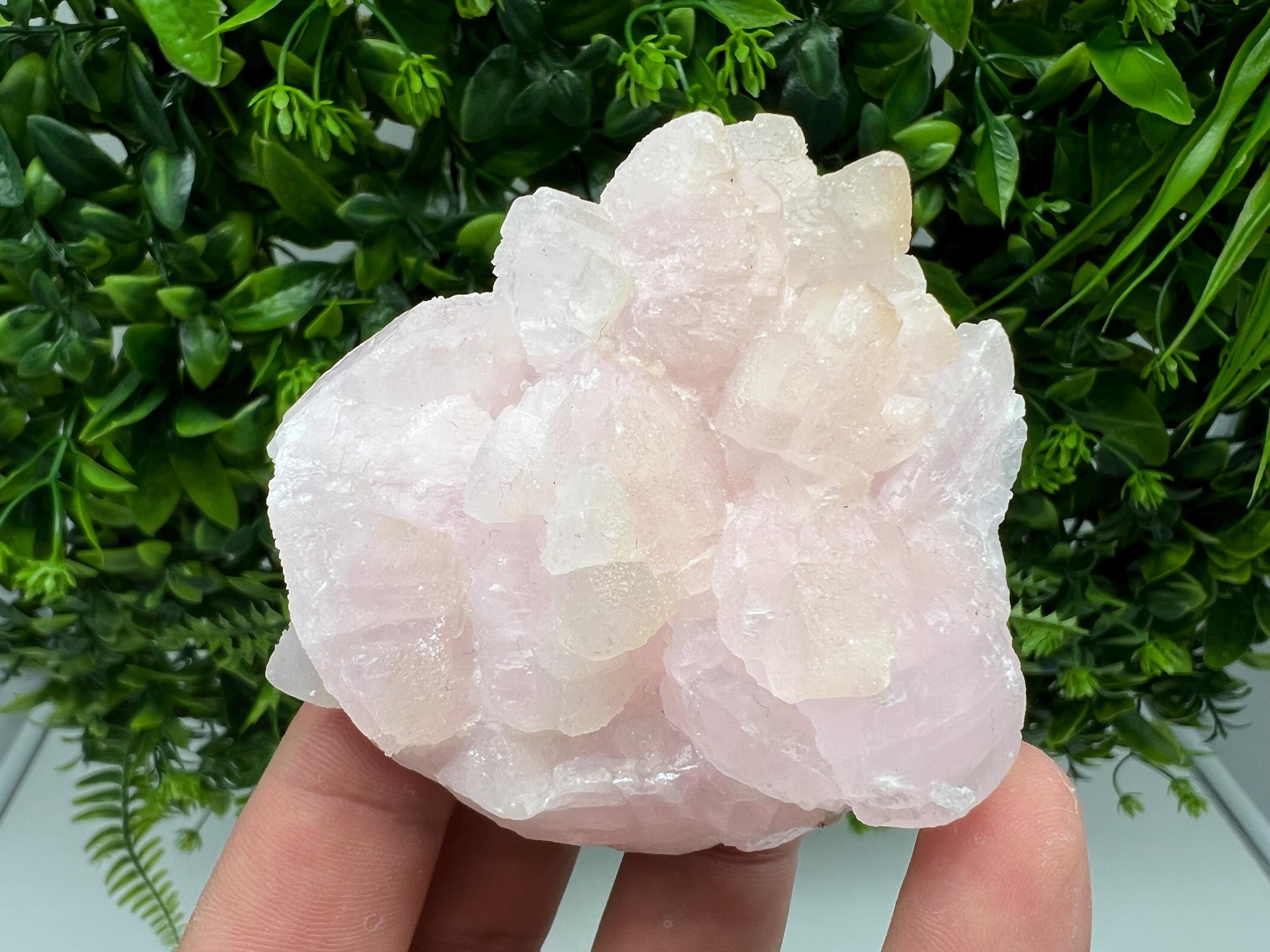 UV Reactive Mangano Calcite Crystal: Androvo Mine, Bulgaria