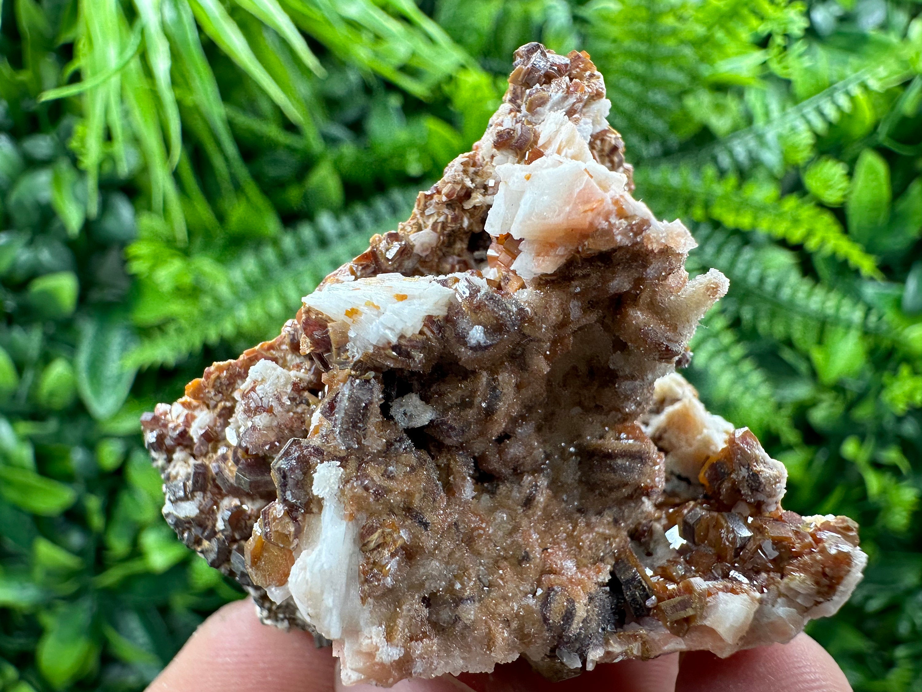 Red Vanadinite Crystal Cluster on Matrix, Morocco Specimen