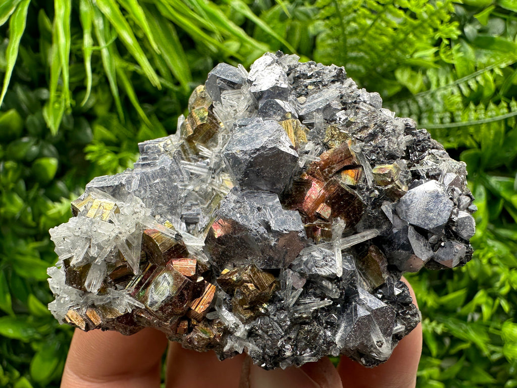 Red Pyrite, Galena, Sphalerite & Quartz Crystal Cluster - Borieva Mine