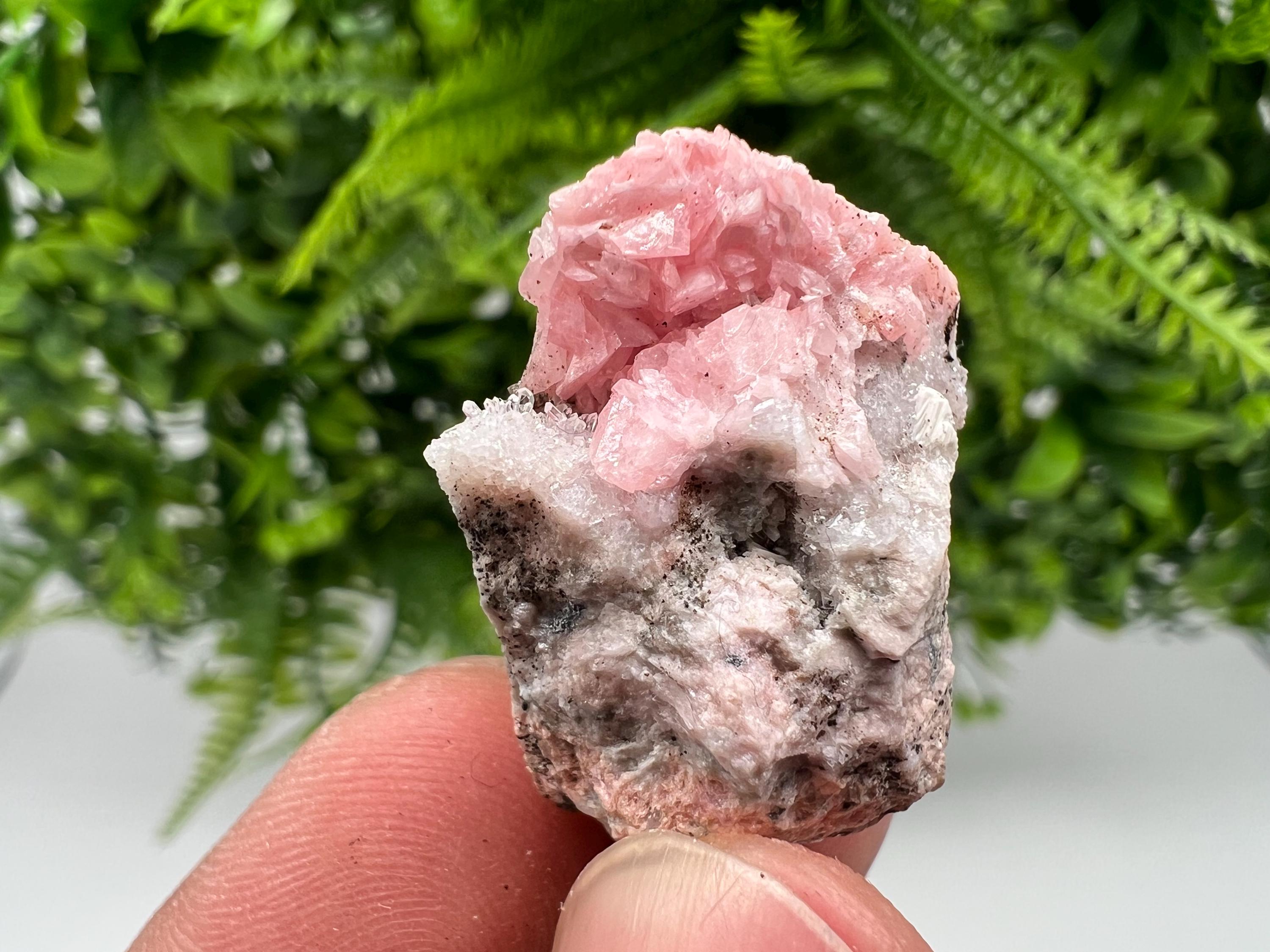 Rhodochrosite on Quartz: Pink Mineral Specimen, Starnica Mine, Bulgaria