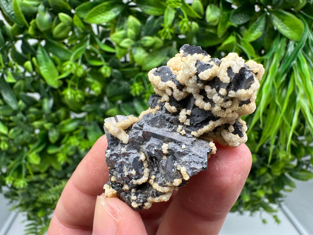 Skeletal Galena with Siderite and Sphalerite: Krushev dol Mine, Bulgaria