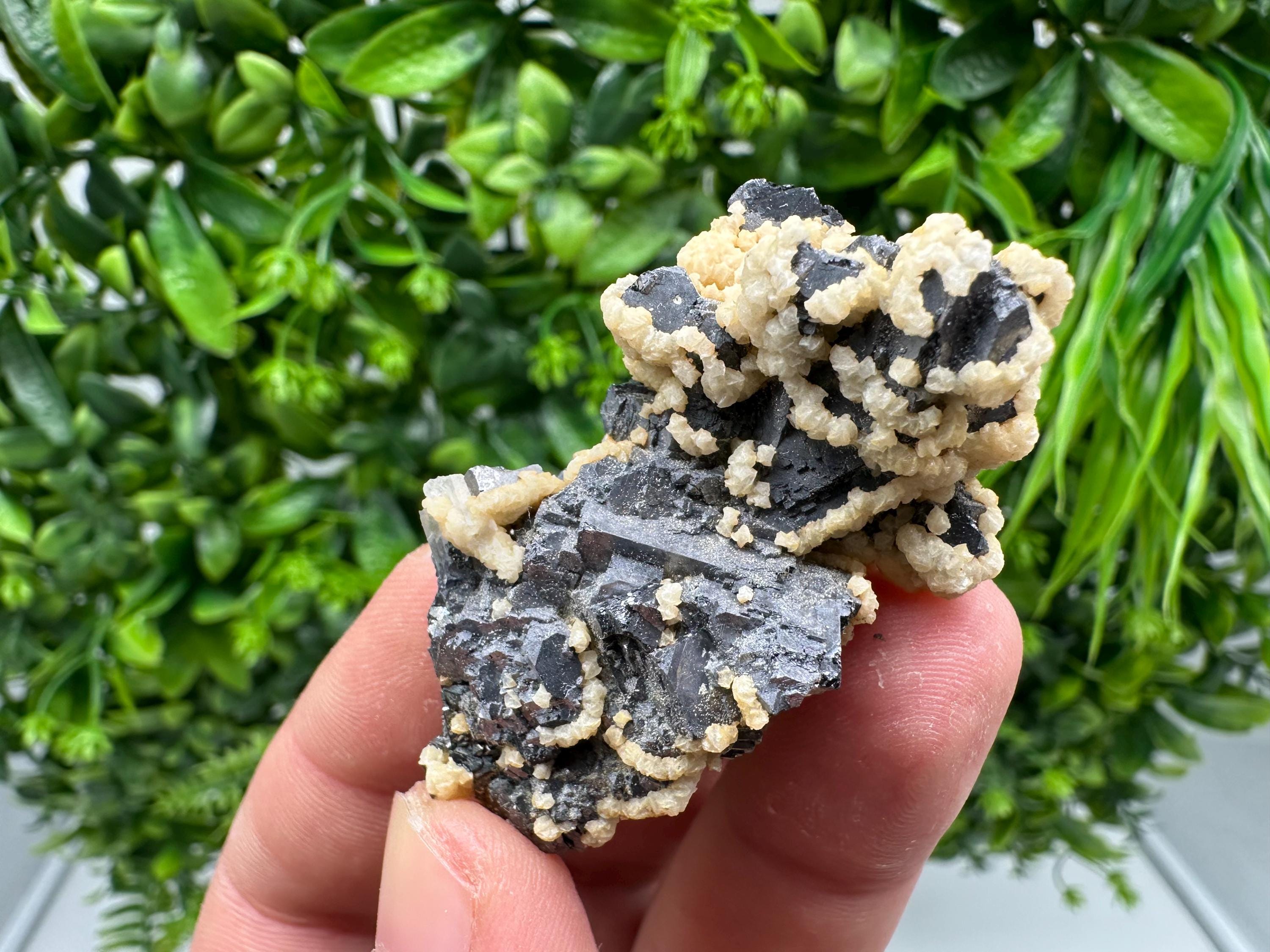 Skeletal Galena with Siderite and Sphalerite: Krushev dol Mine, Bulgaria