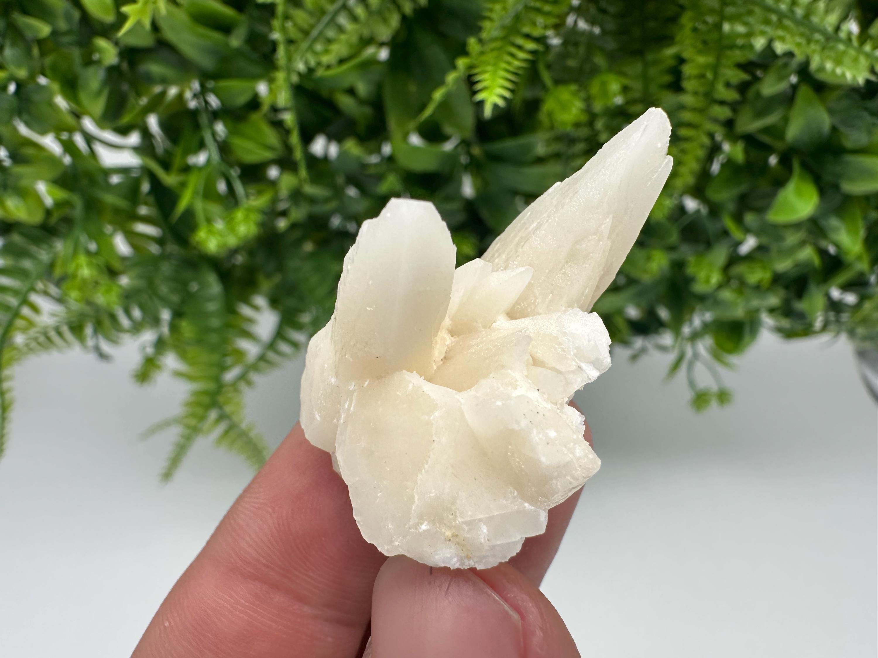 Calcite on Aragonite: Djurcovo Mine, Bulgaria Crystal