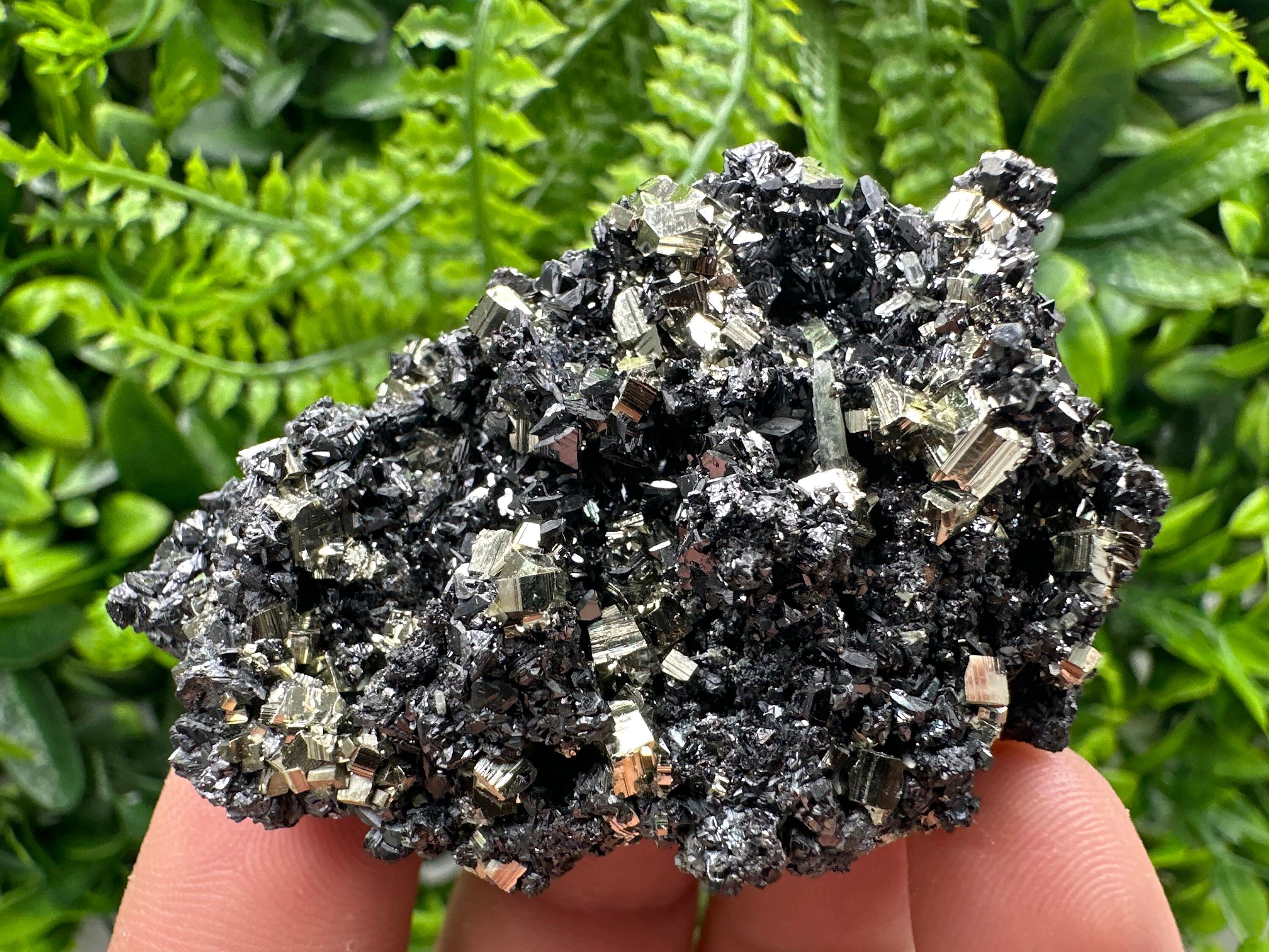 Golden Pyrite with Sphalerite, Borieva Mine Mineral Specimen