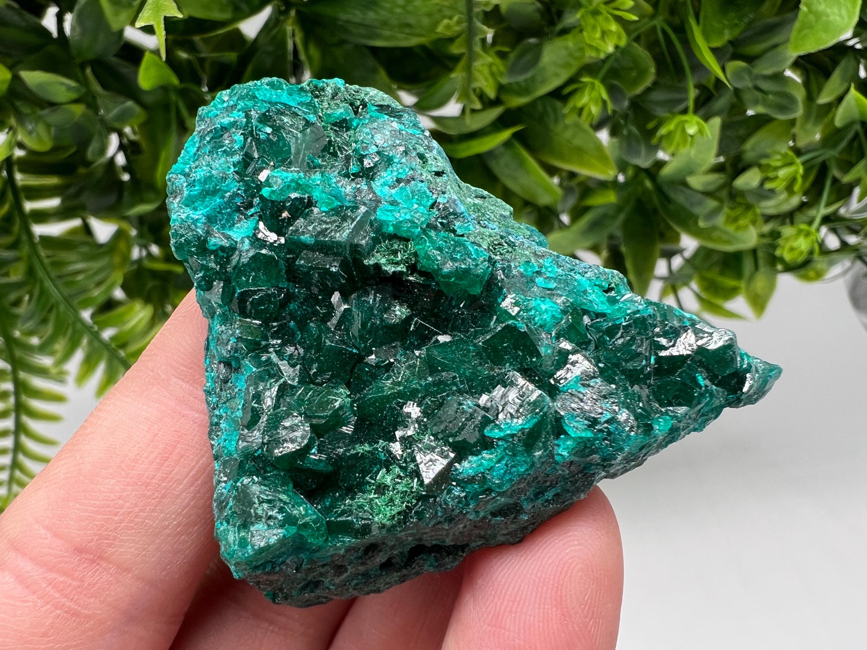 Stunning Green Dioptase from Sanda Hills,Mindouli,Pool Department,Mindouli District,Congo,green Dioptase,Dioptas Crystal,Dioptase collecting