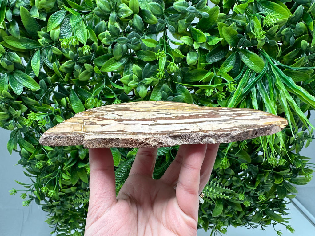 Landscape Jasper Slab – Polished Stone Slice, Natural Scenic Mineral Display