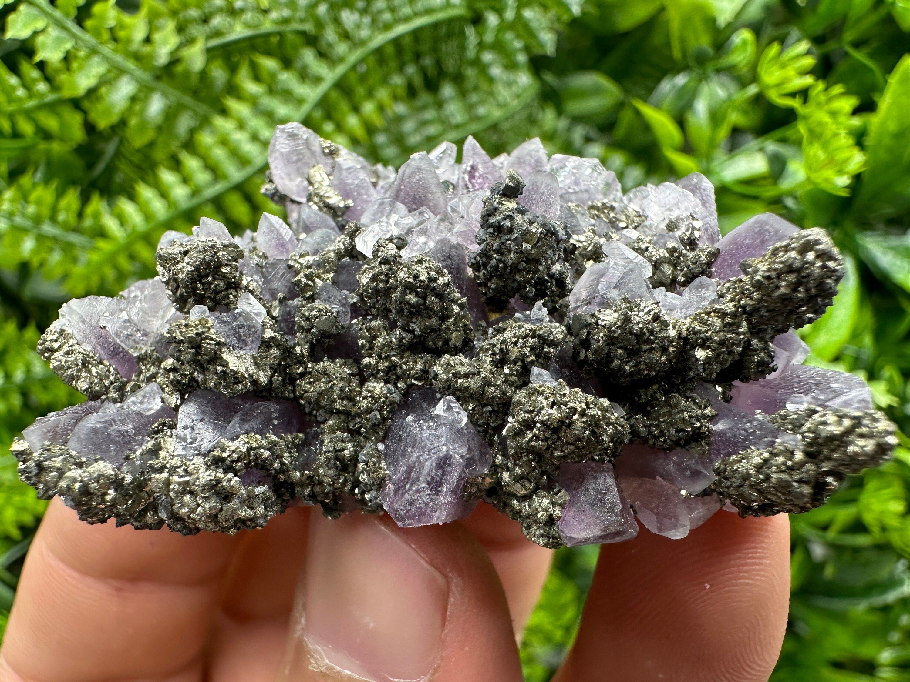 Amethyst with Pyrite: Natural Crystal Mineral Souvenir