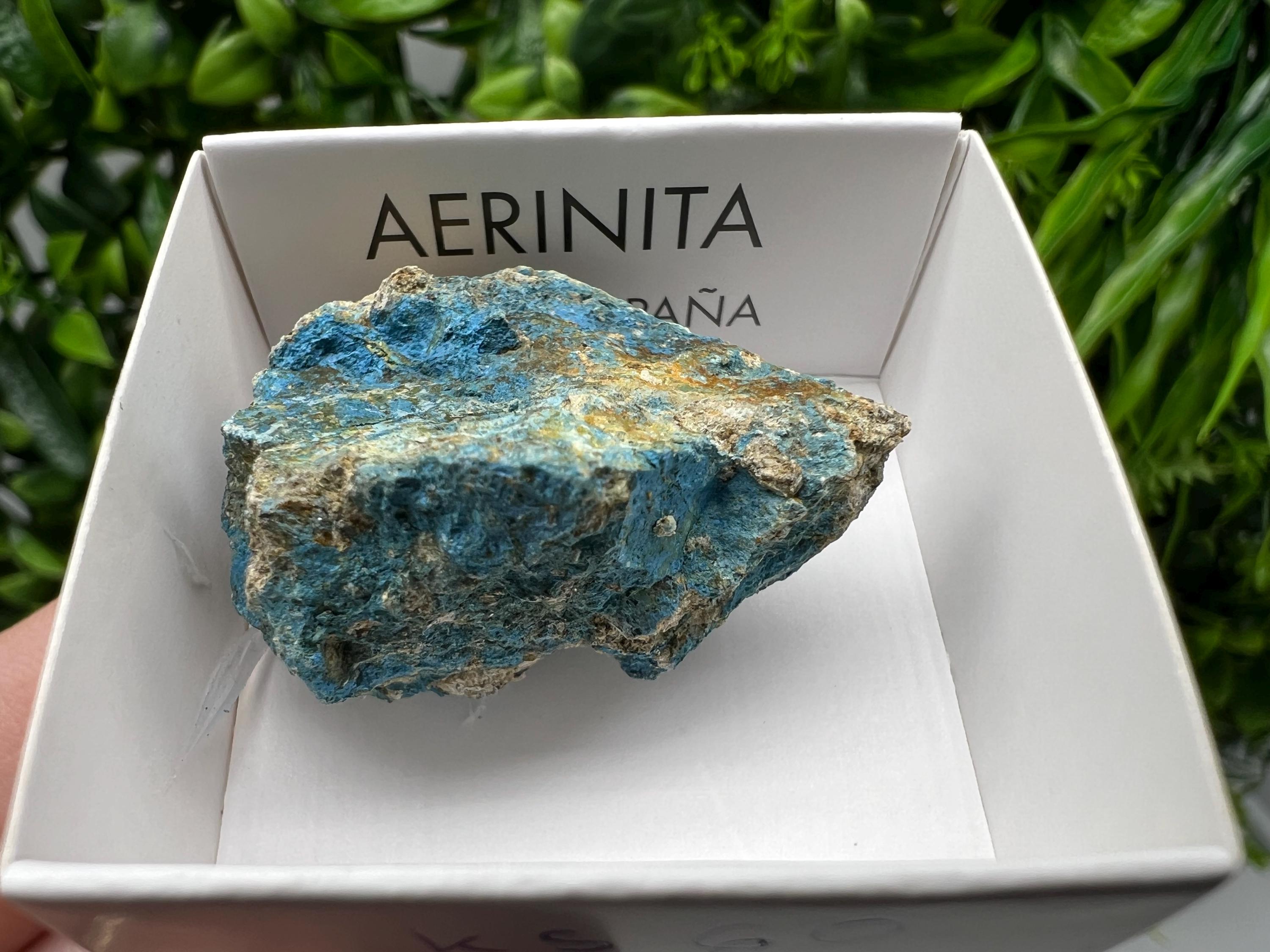 Rare Raw Aerinite Crystal, Mineral Specimen from Lleida, Spain