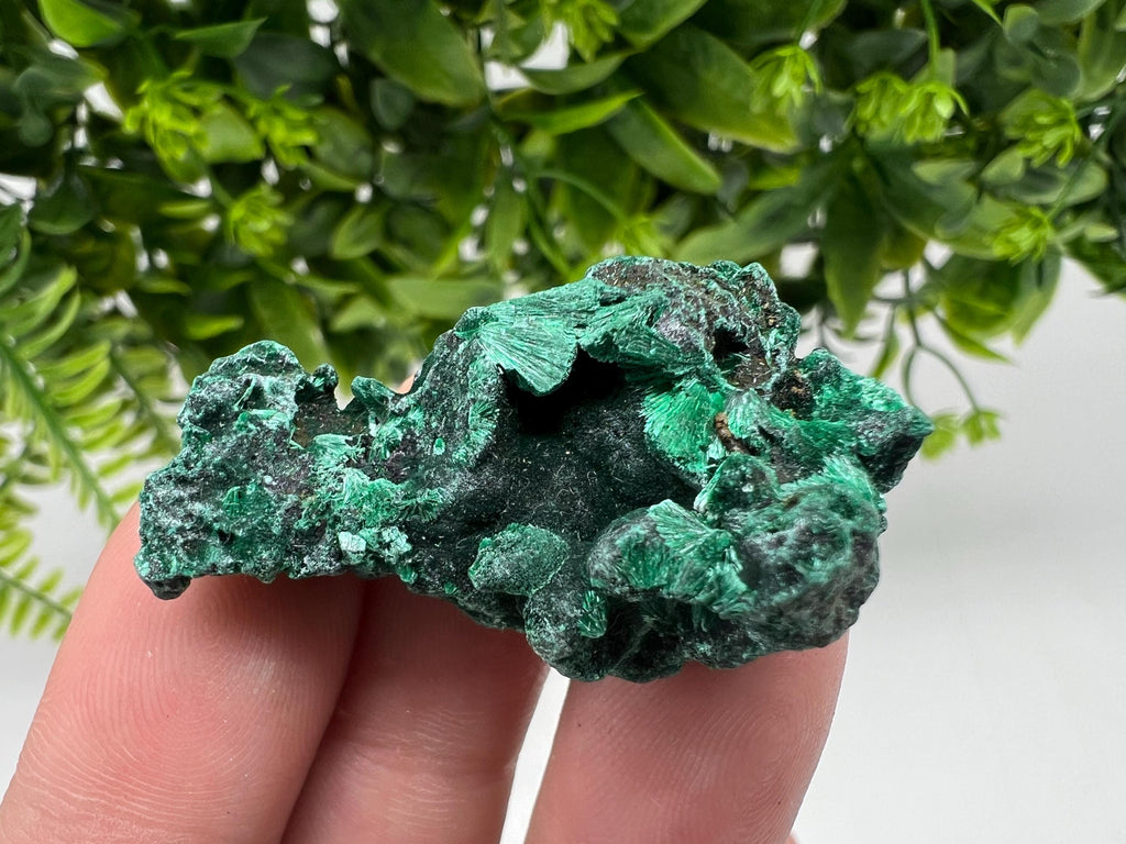 Malachite Crystal from Congo,Minerals,Crystals from Congo,Green Malachite, Malachite,Natural Malachite,Malachite Stone,Chakra, Specimens