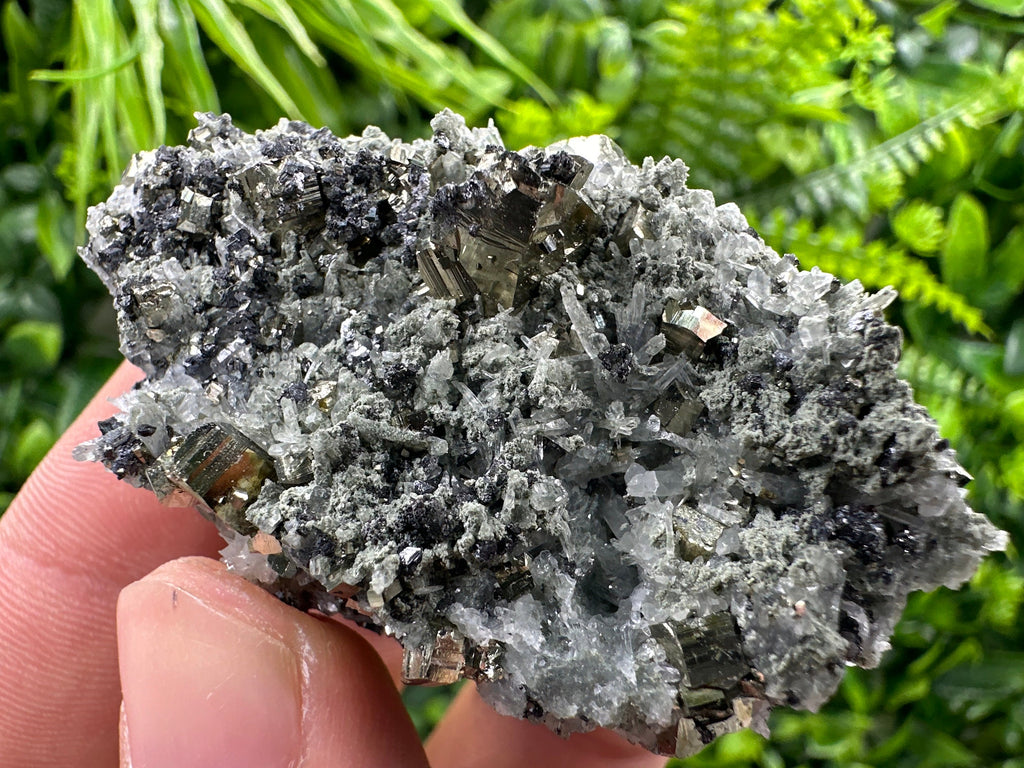 Pyrite on Quartz Needles, Borieva Mine Bulgaria, Natural Mineral Specimen