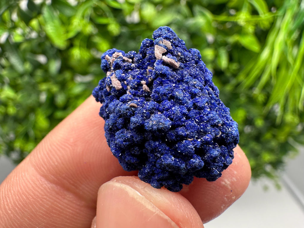 Crystallized Azurite-Kerrouchen,Morocco-Blue Azurite Specimen-High Quality Blue Azurite-Azurite Mineral Specimen, gemmy,lustrous of Azurite