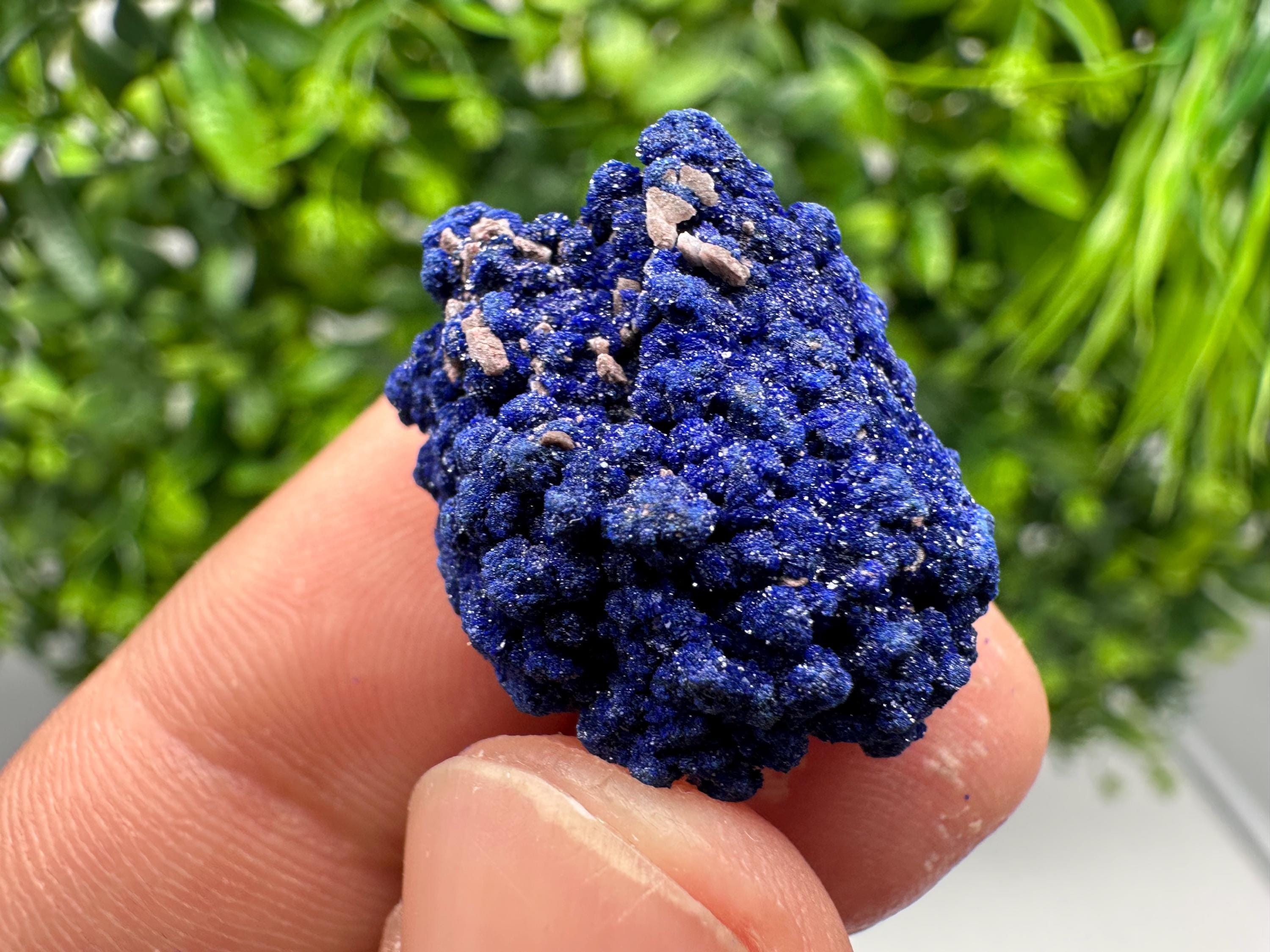 Crystallized Azurite-Kerrouchen,Morocco-Blue Azurite Specimen-High Quality Blue Azurite-Azurite Mineral Specimen, gemmy,lustrous of Azurite