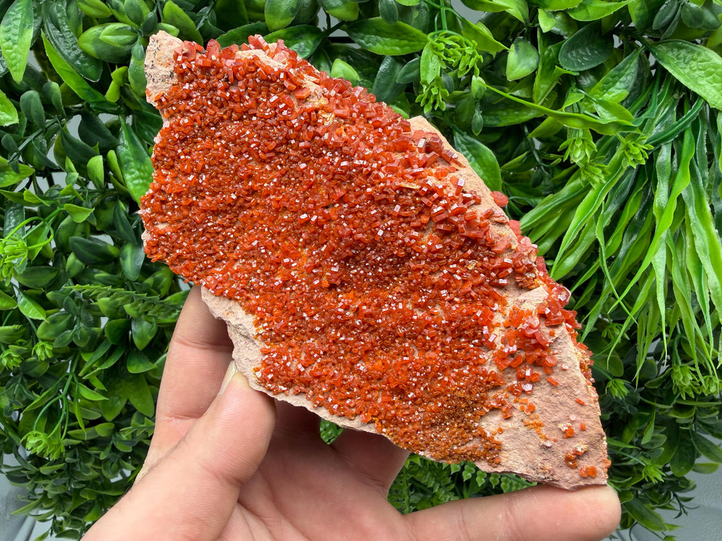 Red Vanadinite on Matrix from Marocco,crystal minerals Speciment cluster Vanadinite crystal Vanadinite Geology Vanadinite cluster minerals