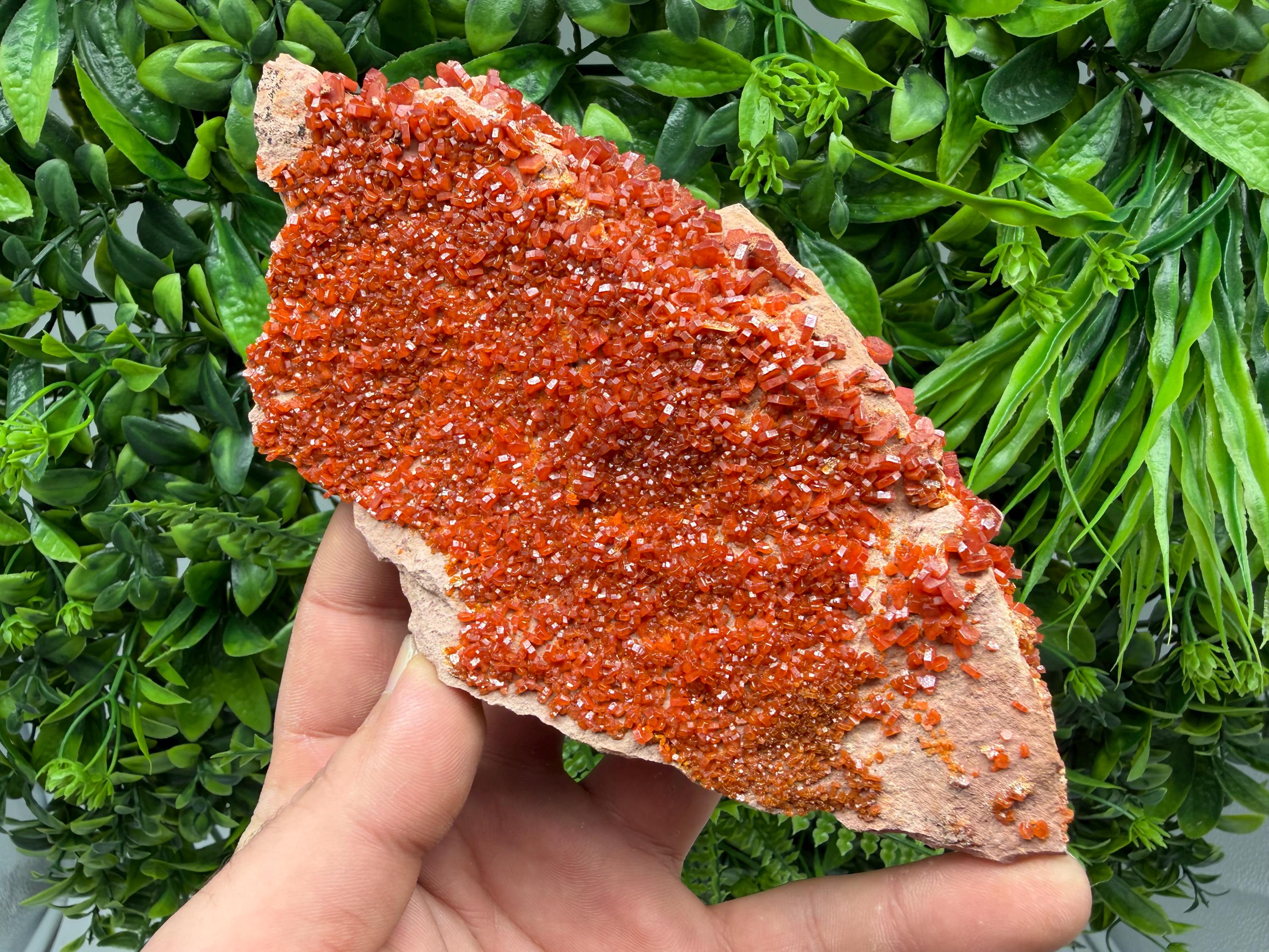 Red Vanadinite on Matrix from Marocco,crystal minerals Speciment cluster Vanadinite crystal Vanadinite Geology Vanadinite cluster minerals