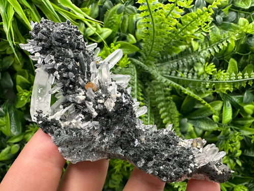 Calcite Pyrite Quartz Cluster: Chlorite Minerals, Borieva Bulgaria