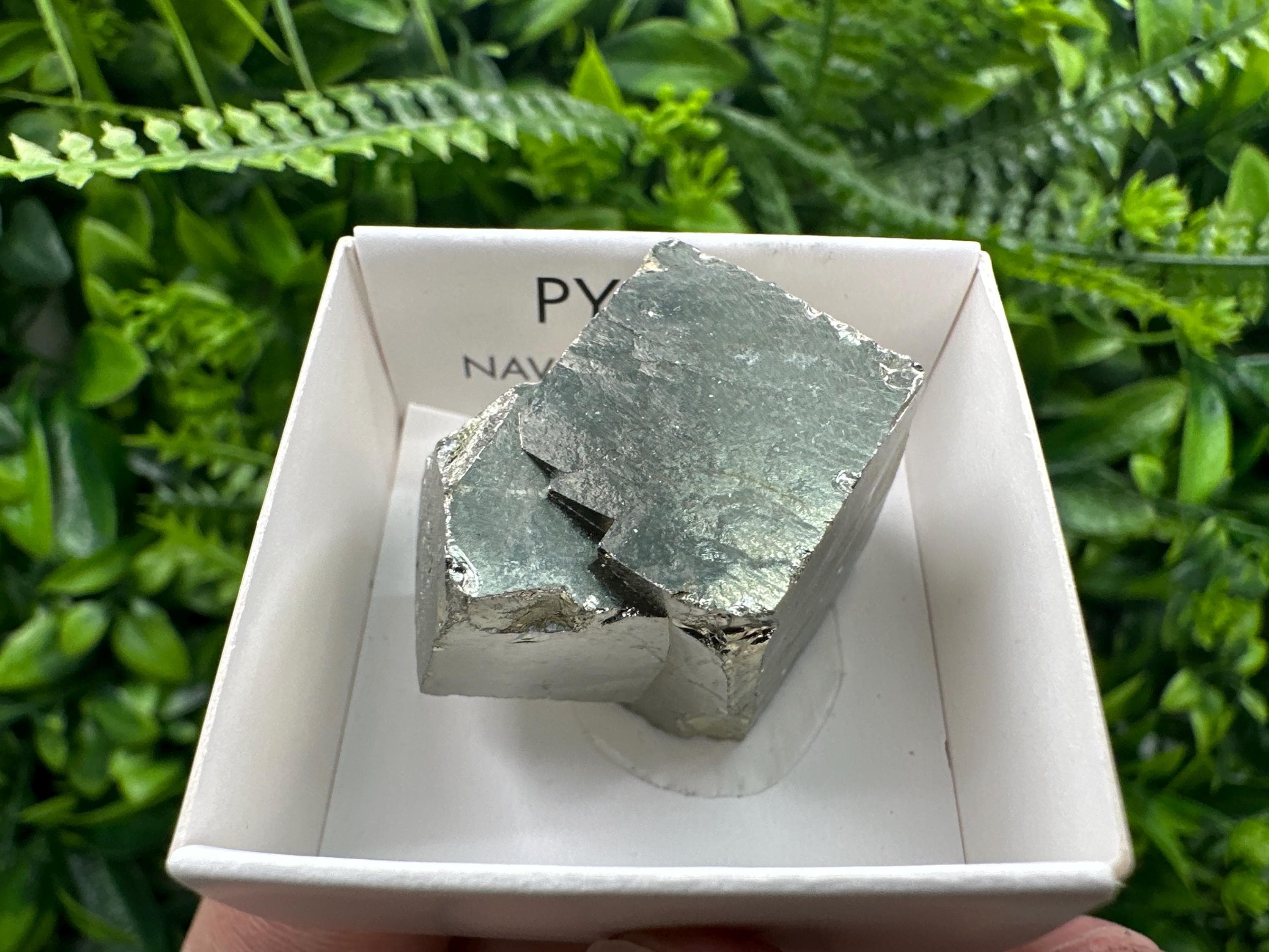 Large Pyrite Cube, Navajun Spain, Shiny Mineral Specimen