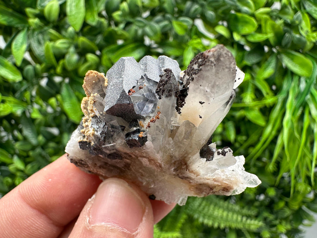 Wonderful Sphalerite Chalcopyrite on  Quartz whit Galena feom 9 th September mine,Bulgaria,natural,collection mineral specimen,gift
