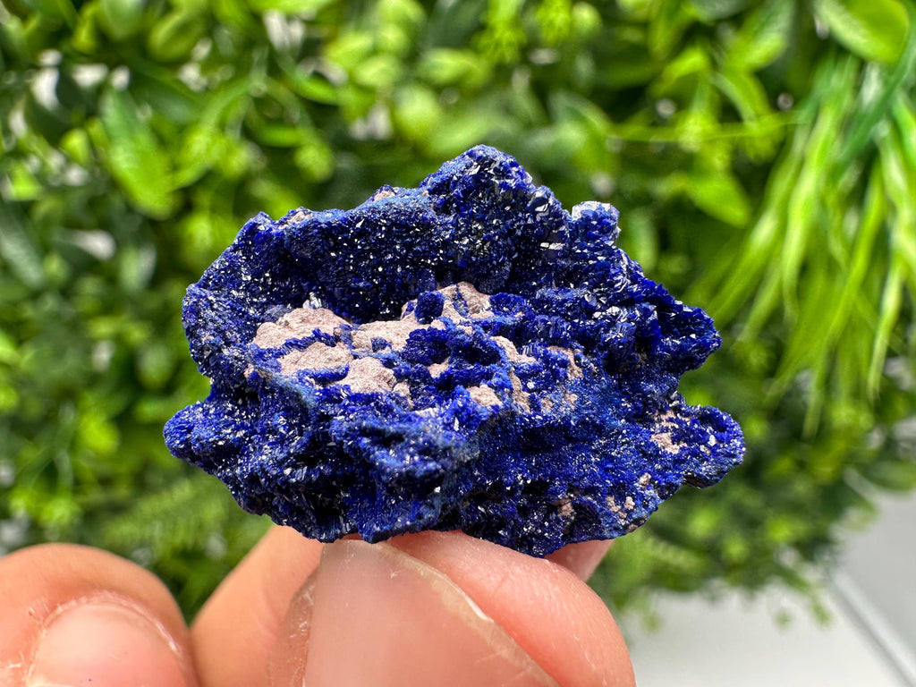 Crystallized Azurite-Kerrouchen,Morocco-Blue Azurite Specimen-High Quality Blue Azurite-Azurite Mineral Specimen, gemmy,lustrous of Azurite