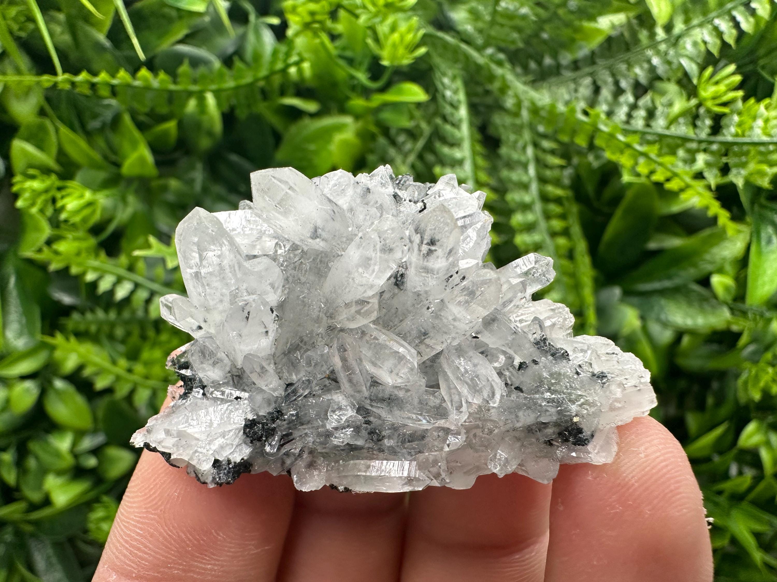 Transparent Quartz Cluster, Borieva Mine, Rare Crystal Specimen