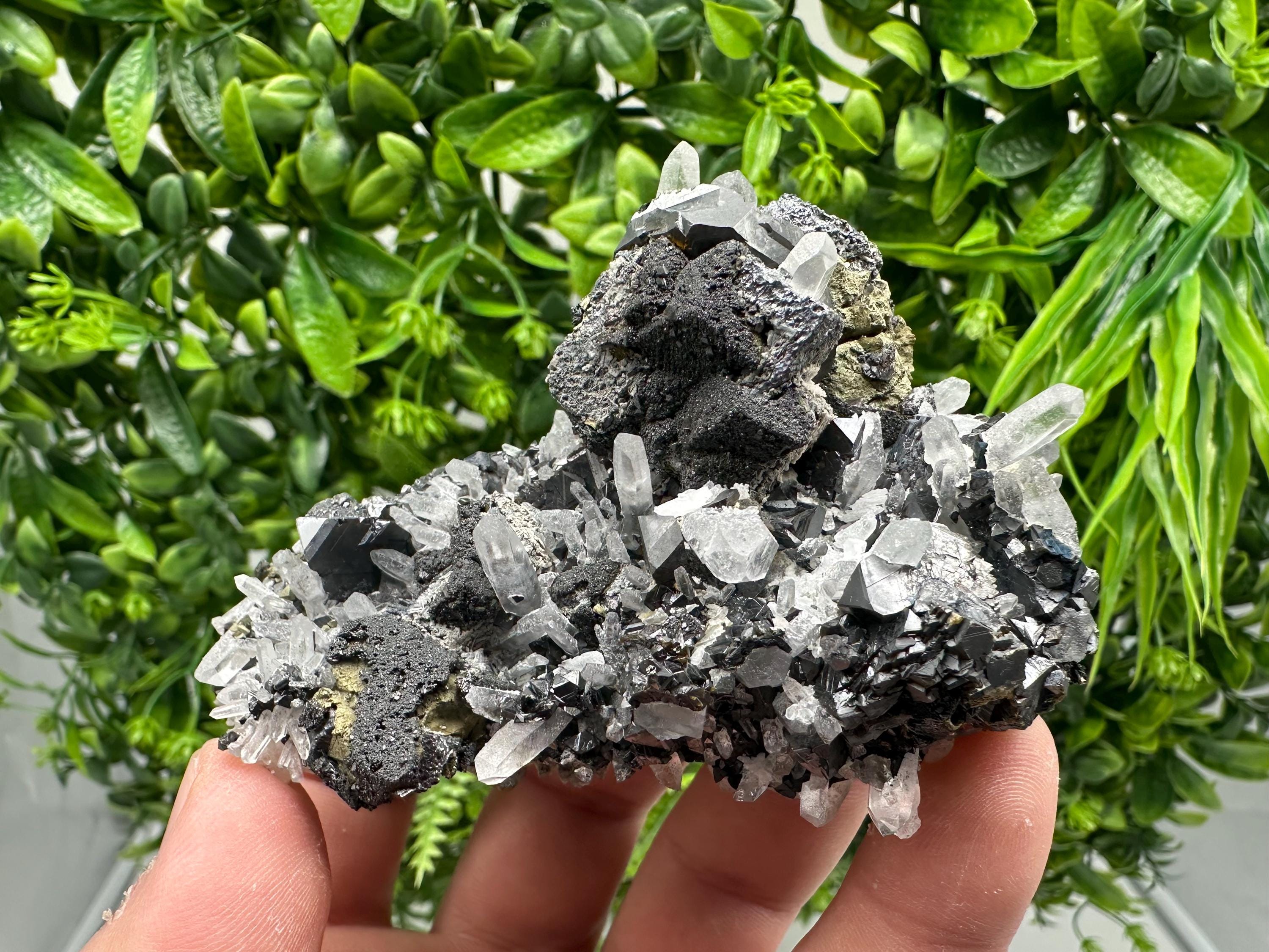 Wonderful Sphalerite Chalcopyrite on  Quartz whit Galena feom 9 th September mine,Bulgaria,natural,collection mineral specimen,gift