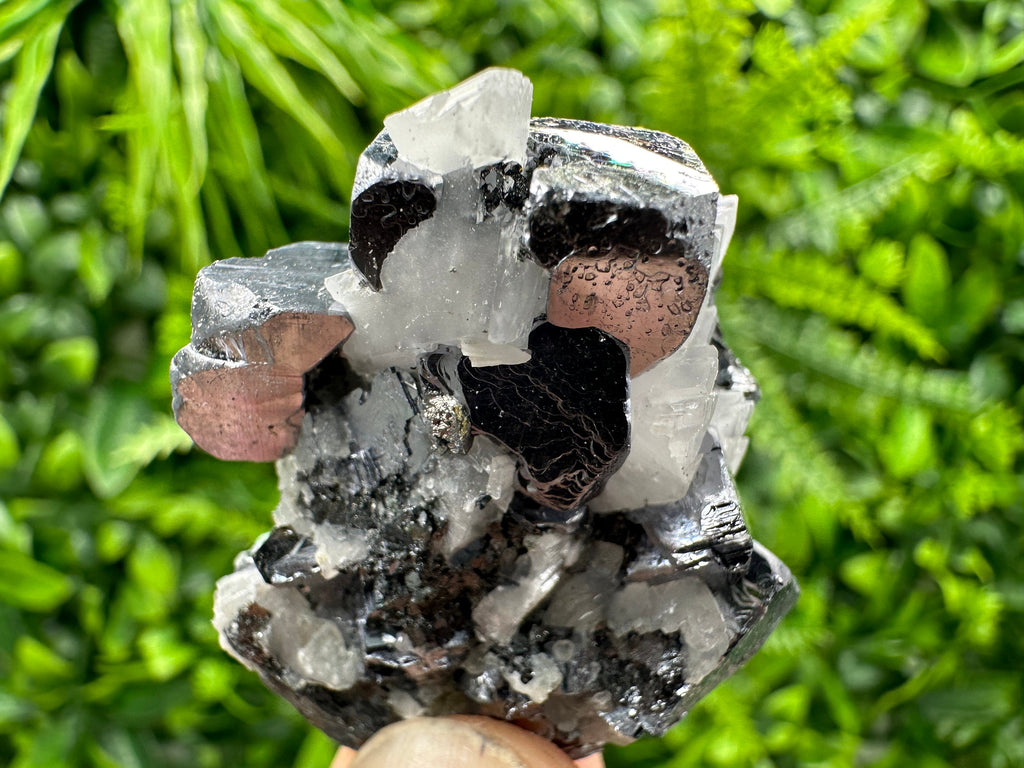 Galena with Calcite Crystal: Borieva Mine, Bulgaria