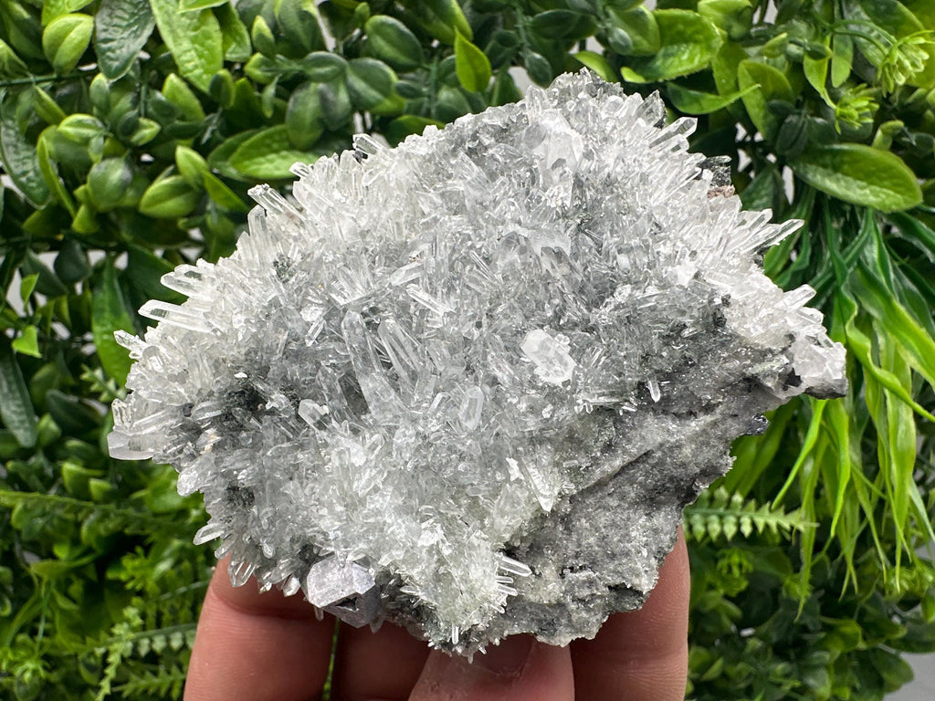 Quartz Crystal with Galena, Chlorite Matrix Mineral Specimen