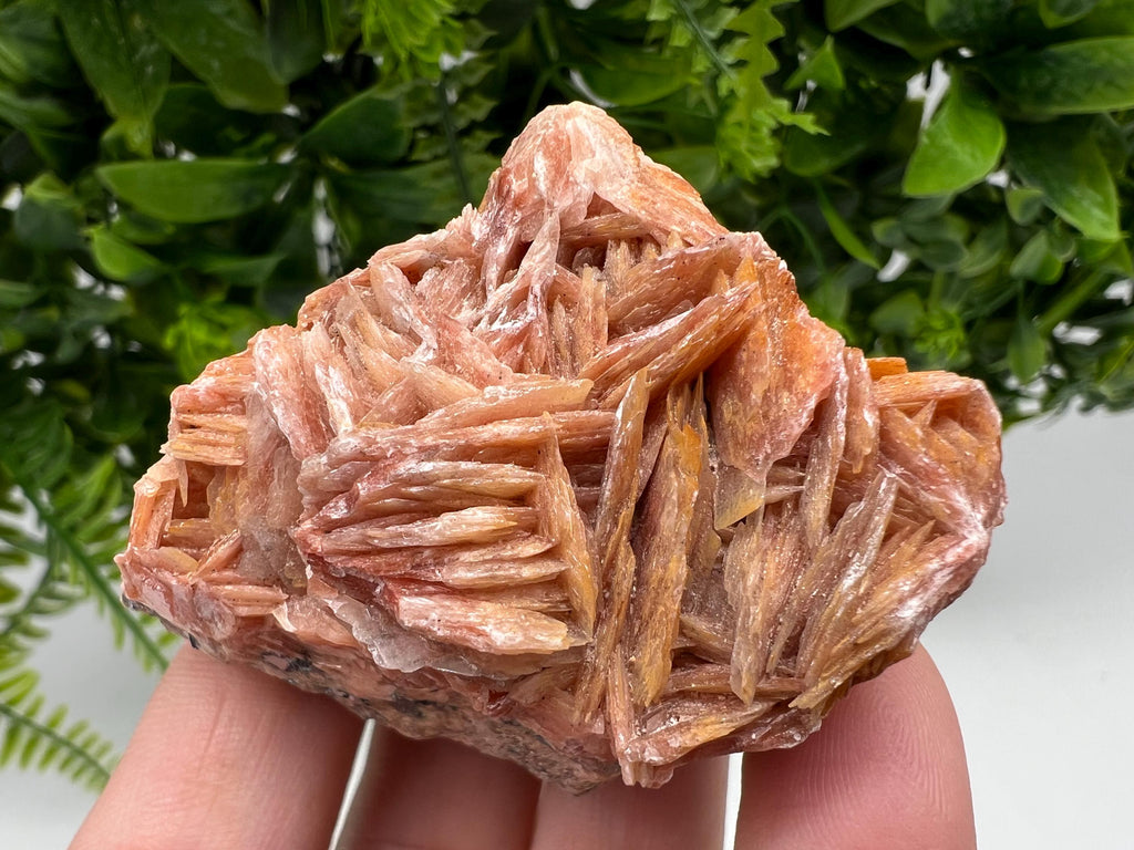 Wonderful Baryte with Cerussite on Galena from Morocco,Crystal, Mineral,Specimen,Cluster,Crystals,Barite Crystal,Cerussite Crystal,Specimen