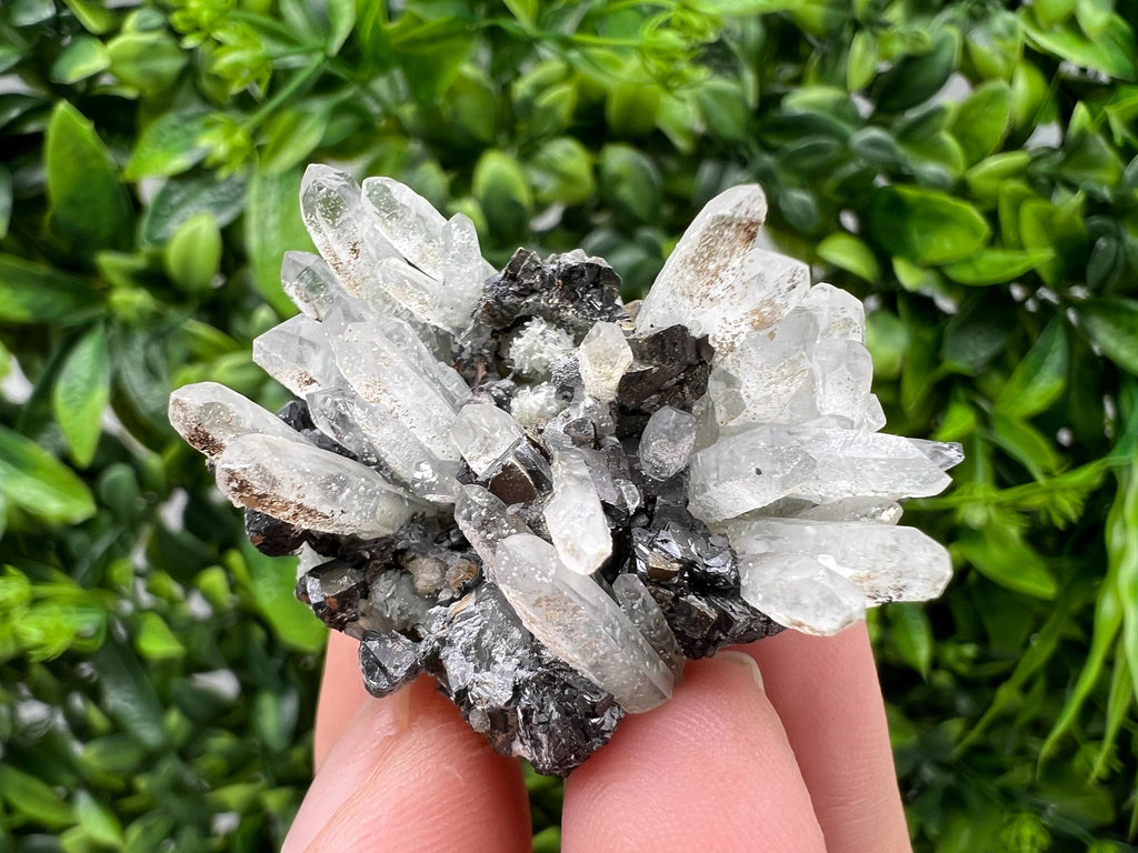Transparent Quartz,Chlorite,Chalcopyrite Matrix,From Borieva mine,Madan,Bulgaria,Quartz,Quartz crystal,mineral specimen,collection quartz