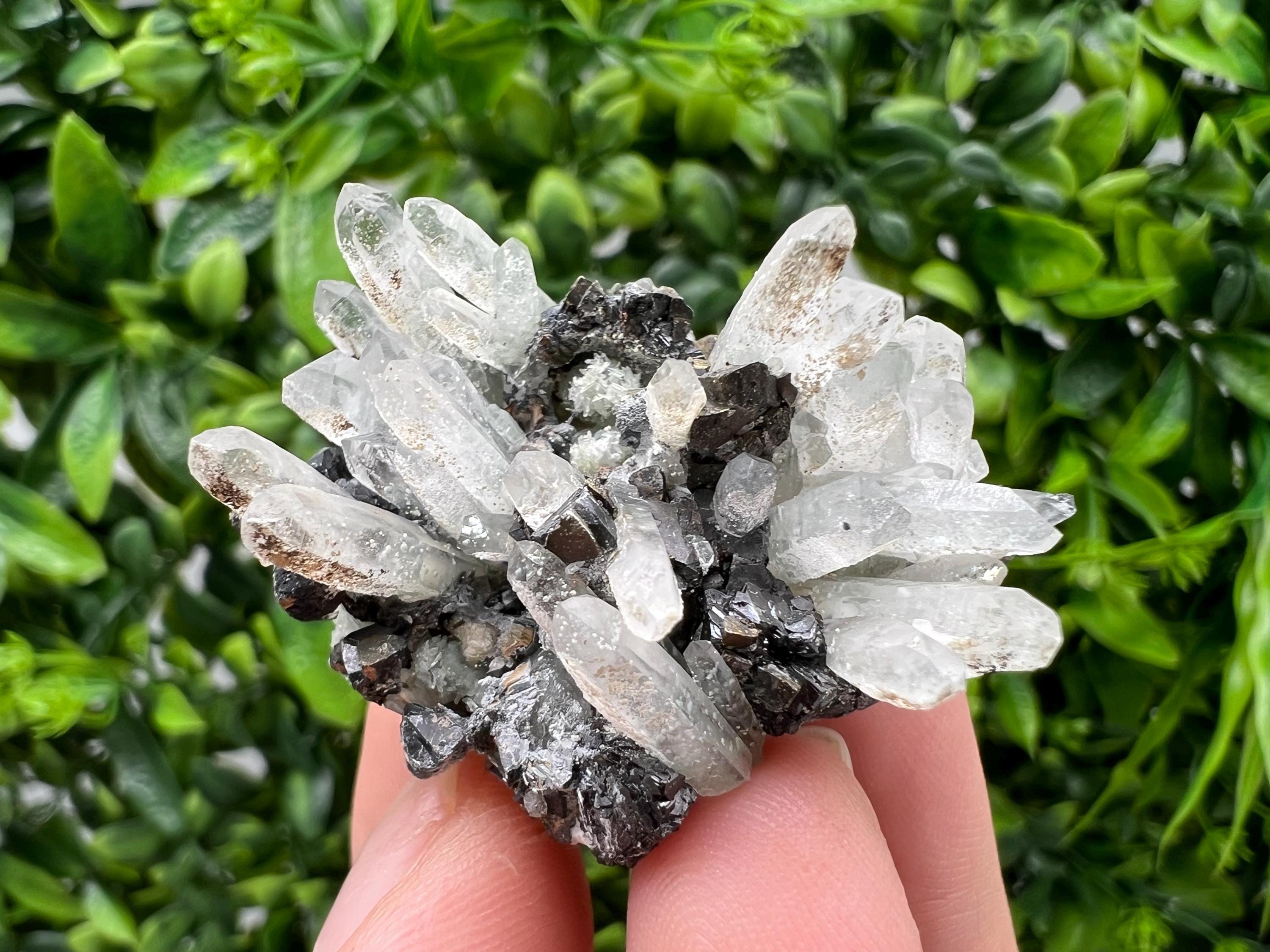 Transparent Quartz,Chlorite,Chalcopyrite Matrix,From Borieva mine,Madan,Bulgaria,Quartz,Quartz crystal,mineral specimen,collection quartz