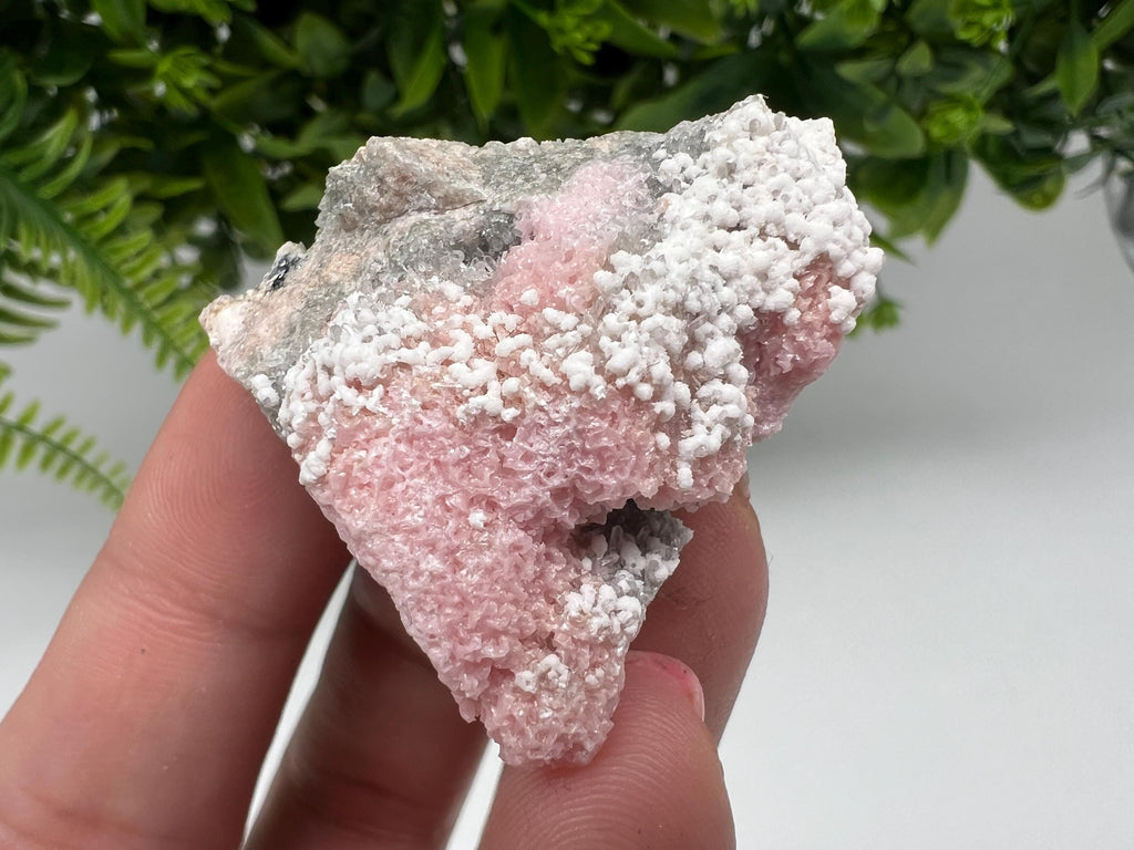 RARE Rhodochrosite with White Calcite, Starnica Mine, Bulgaria