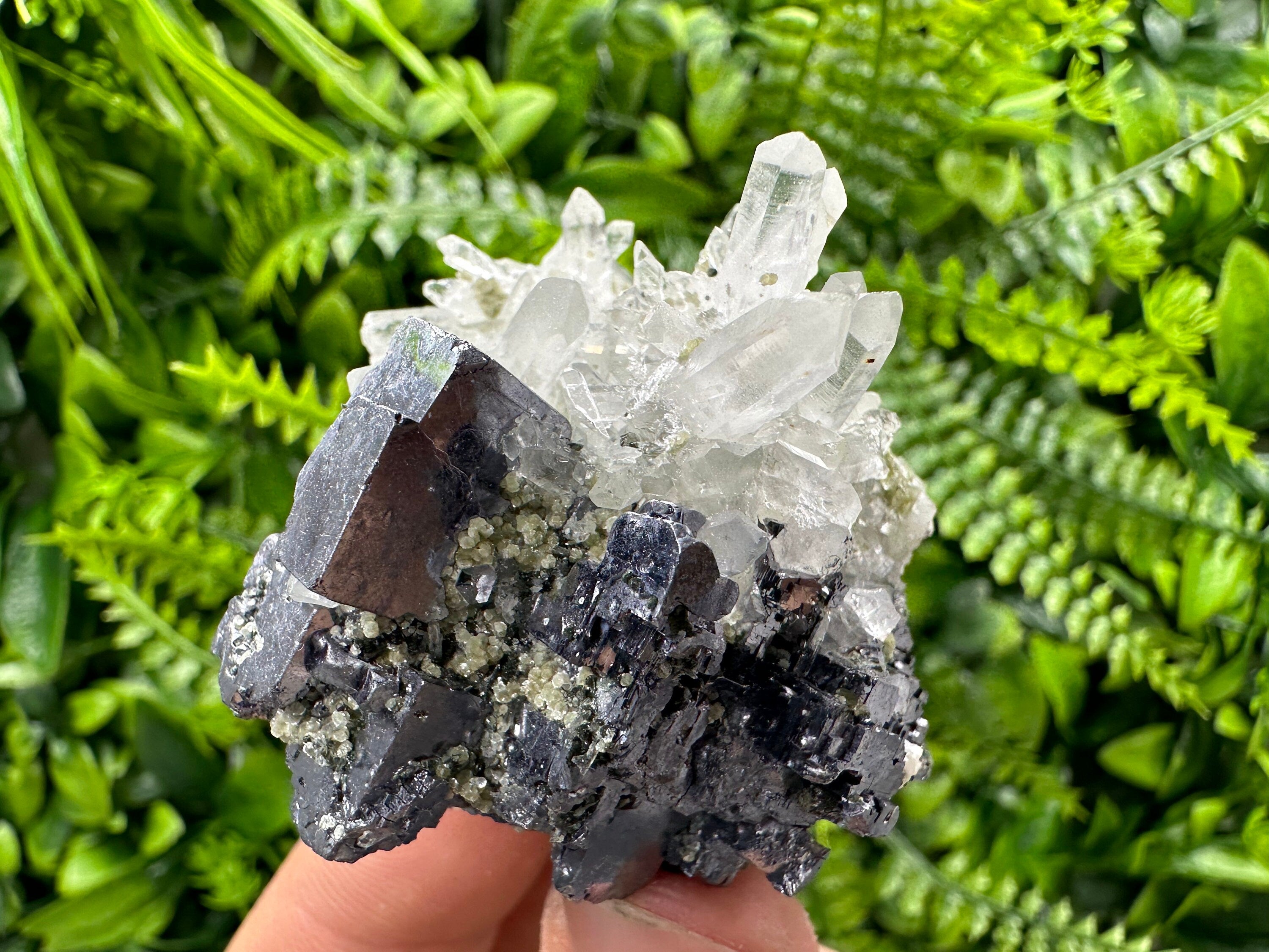 Galena on Quartz: Borieva Mine Crystal Souvenir