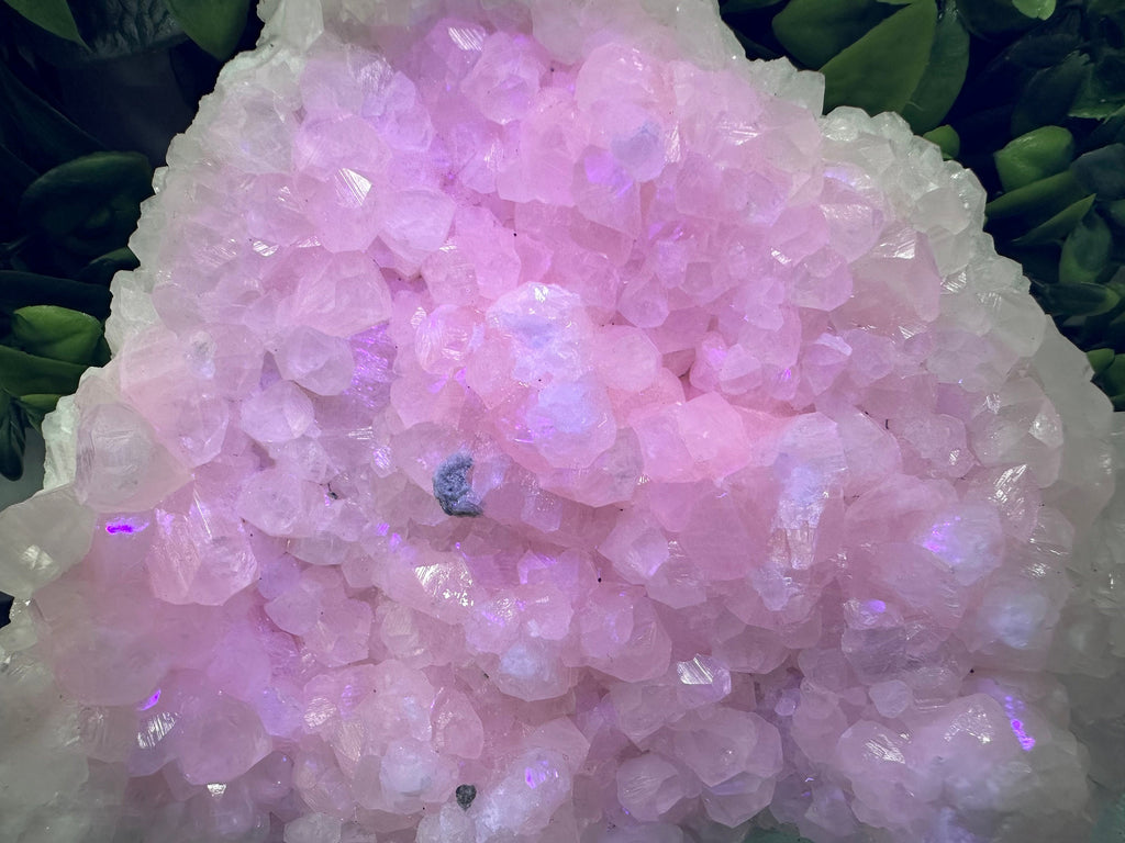 Large UV Mangano Calcite Specimen: Pink Mineral Cluster
