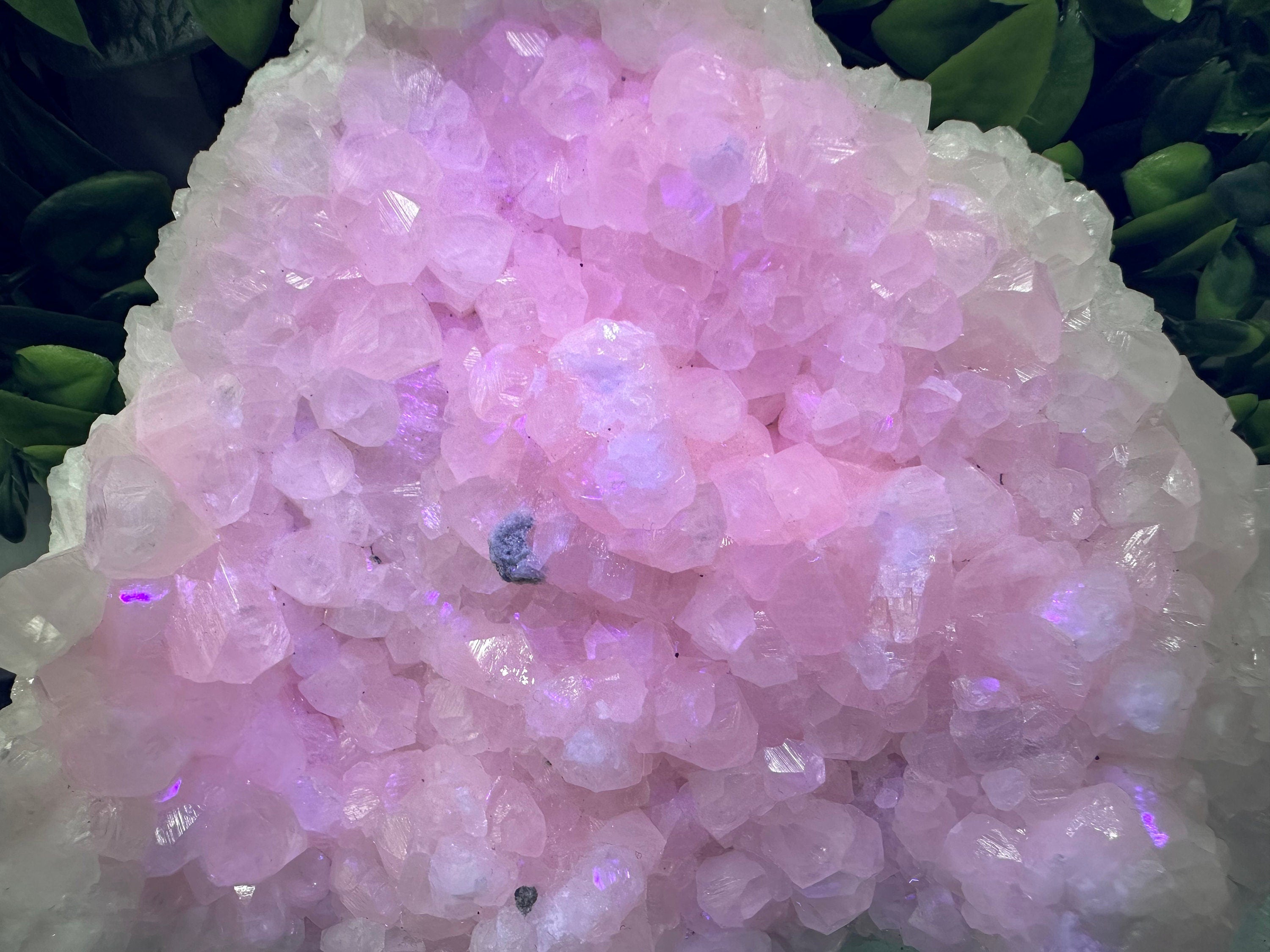 Large UV Mangano Calcite Specimen: Pink Mineral Cluster