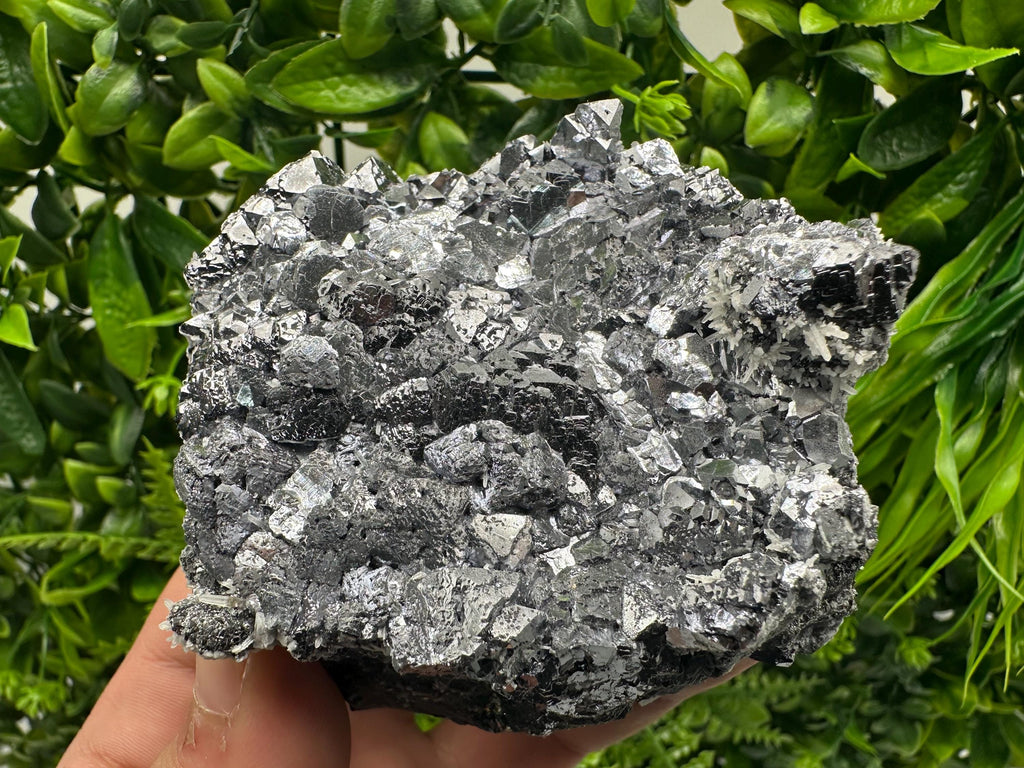 Galena with Quartz Mineral Specimen, Krushev dol Mine, Bulgaria