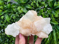 Apophyllite Stilbite on Chalcedony: Natural Mineral Specimen, India