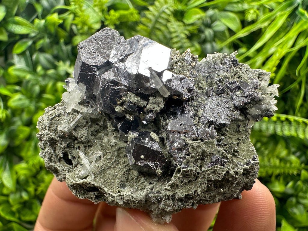 Galena on Quartz and Chlorite: Natural Minerals from Borieva Bulgaria