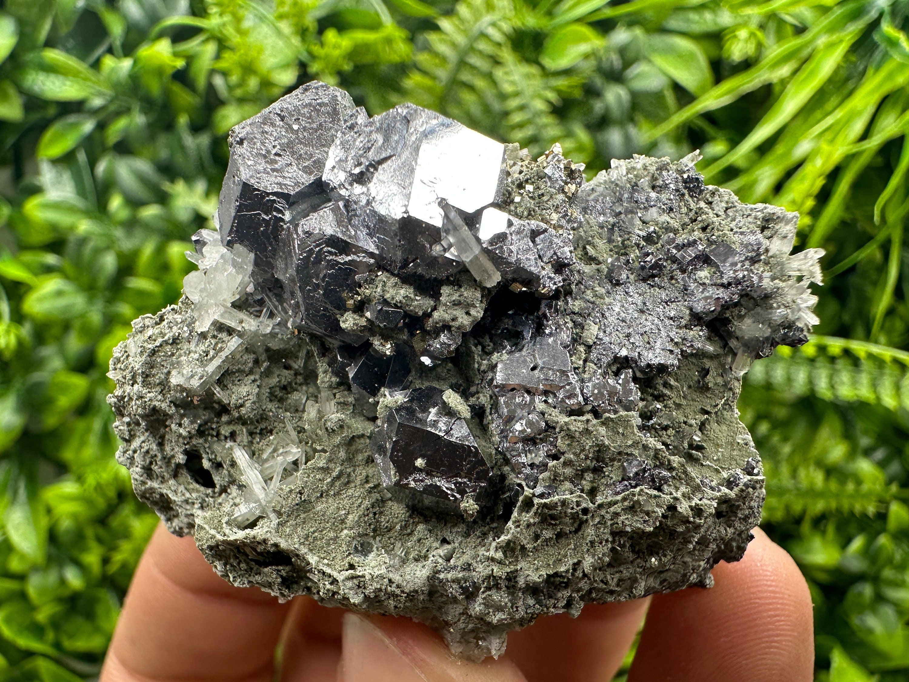 Galena on Quartz and Chlorite: Natural Minerals from Borieva Bulgaria