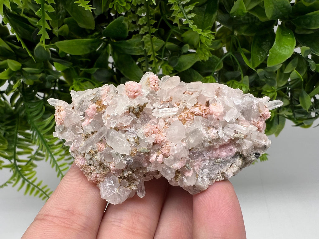 Pink Rhodochrosite Mineral Specimen, Starnica Mine, Bulgaria