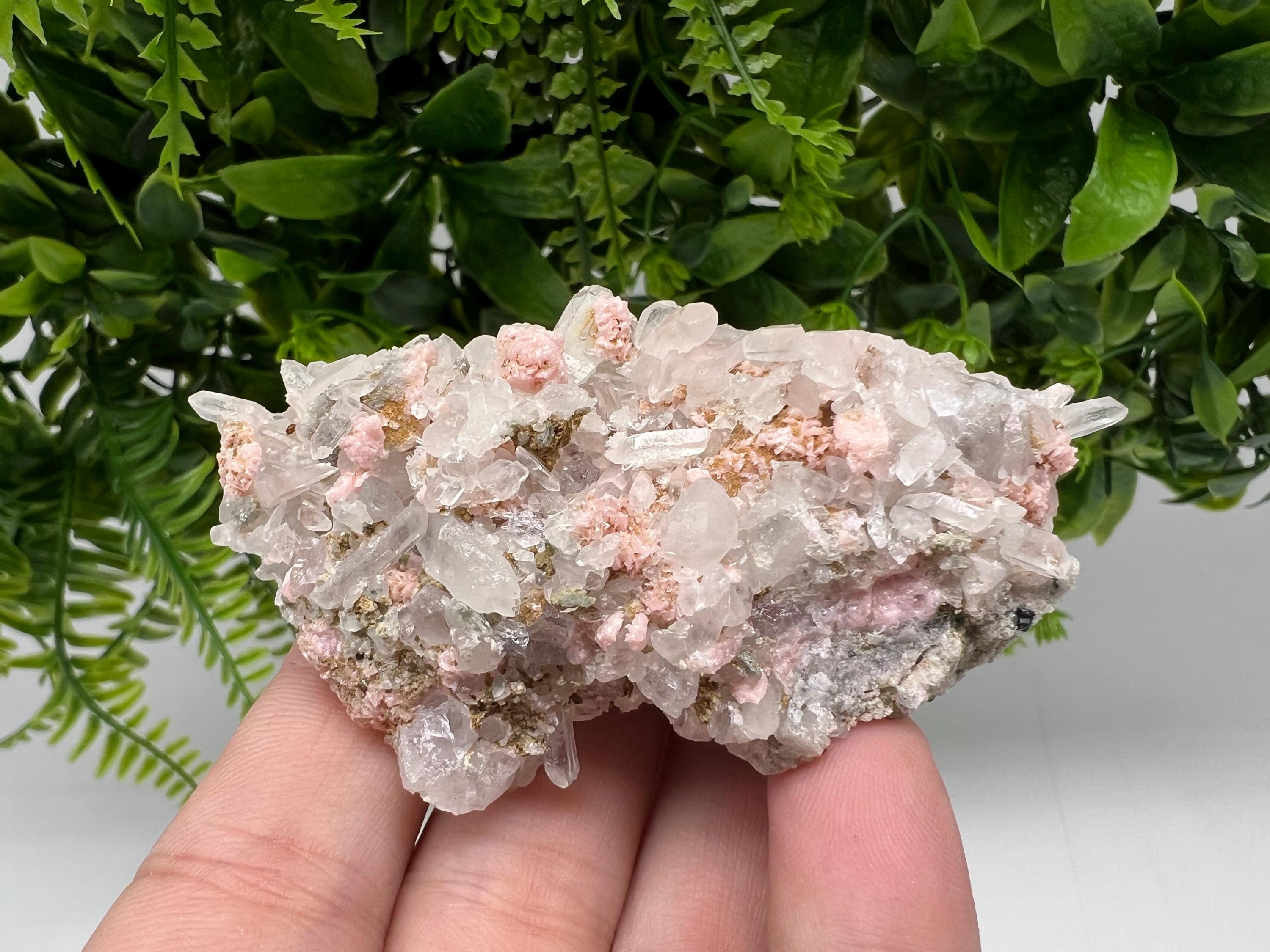 Pink Rhodochrosite Mineral Specimen, Starnica Mine, Bulgaria