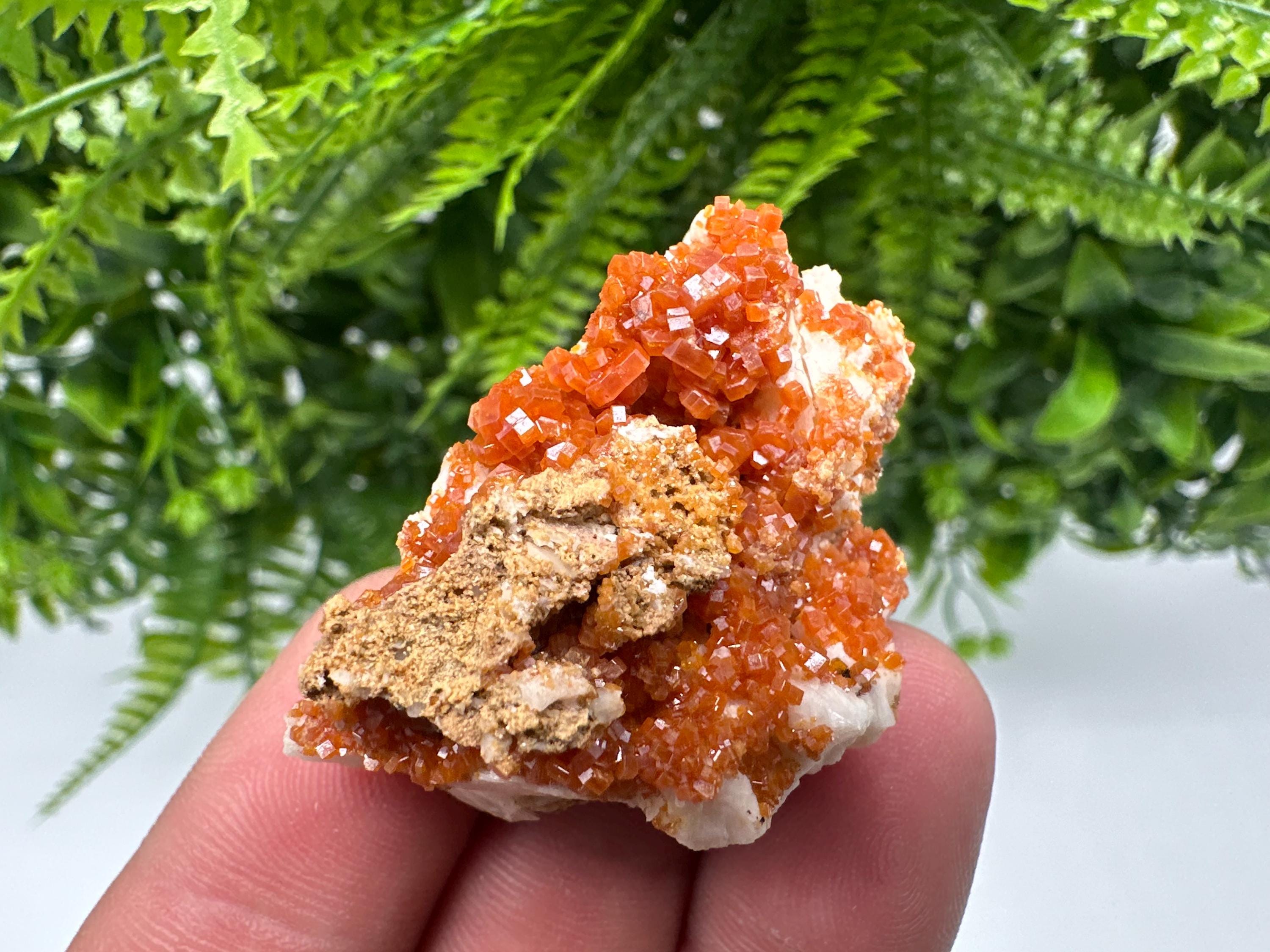 Red Vanadinite on Barite, Morocco Crystal Specimen