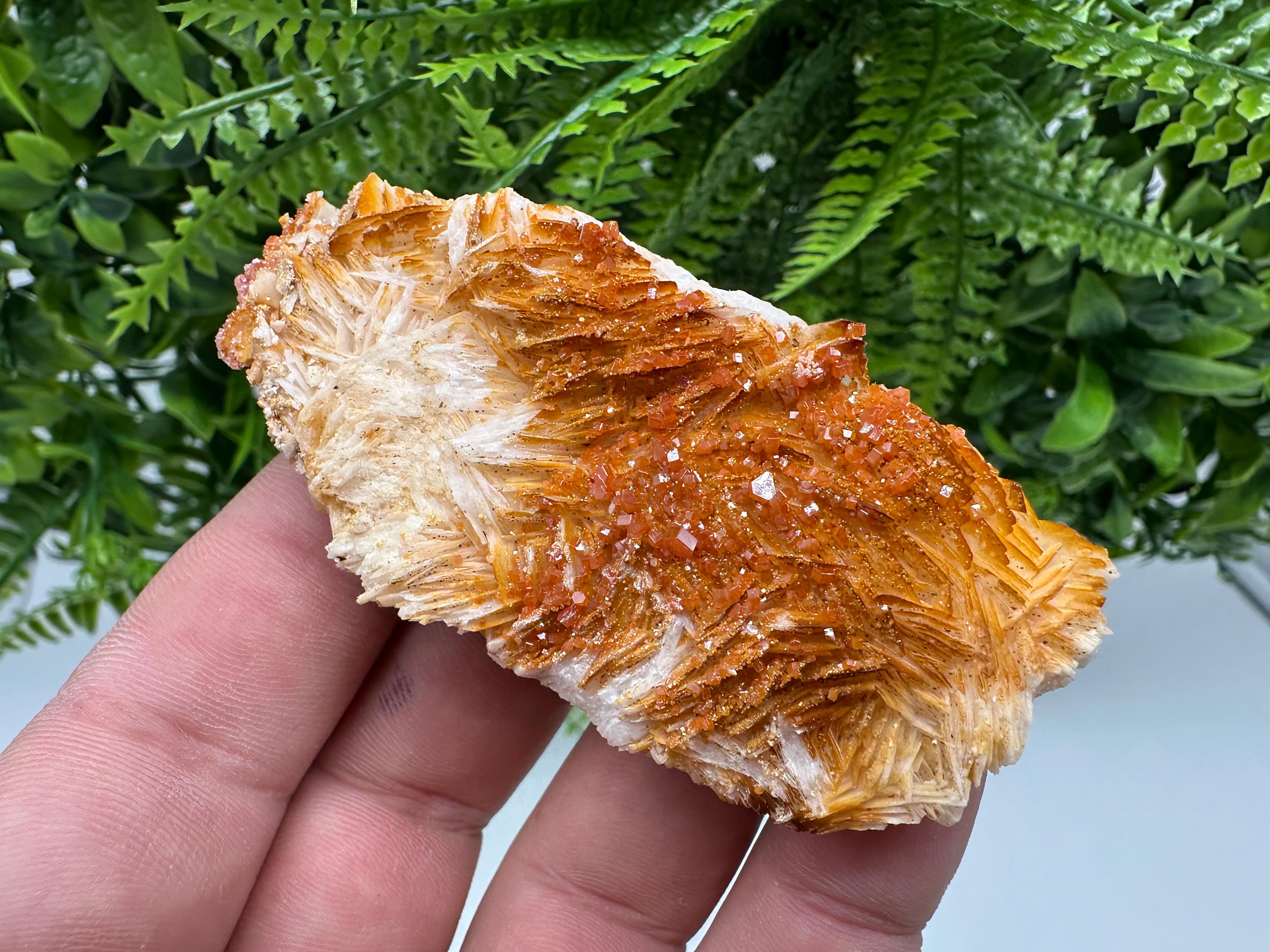 Red Vanadinite on Barite, Morocco Crystal Cluster