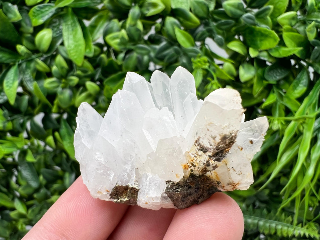 Transparent Quartz on Chlorite Matrix, Borieva Mine, Bulgaria