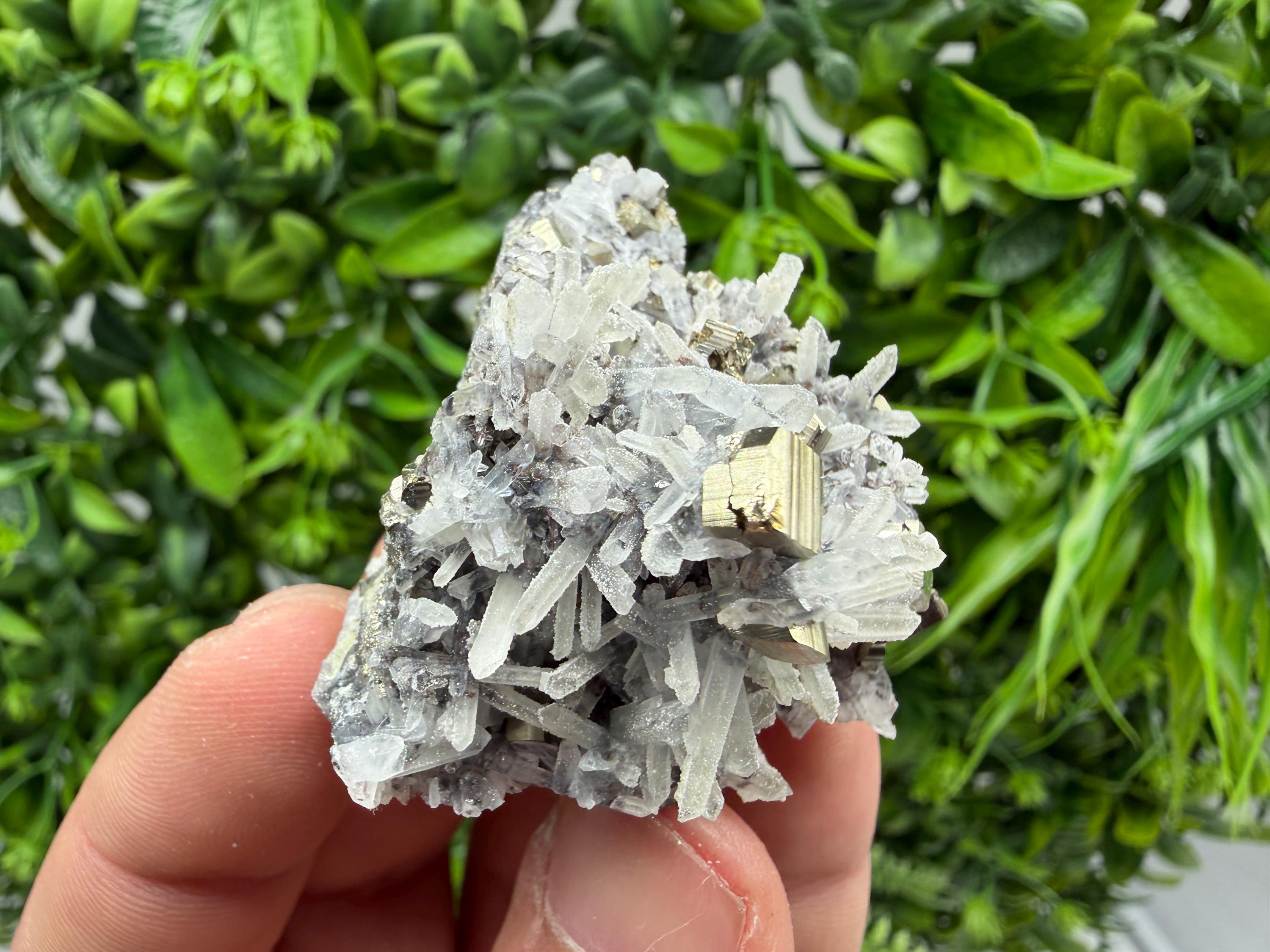 Pyrite Sphalerite Quartz  Mineral Specimen, Krushev dol Mine