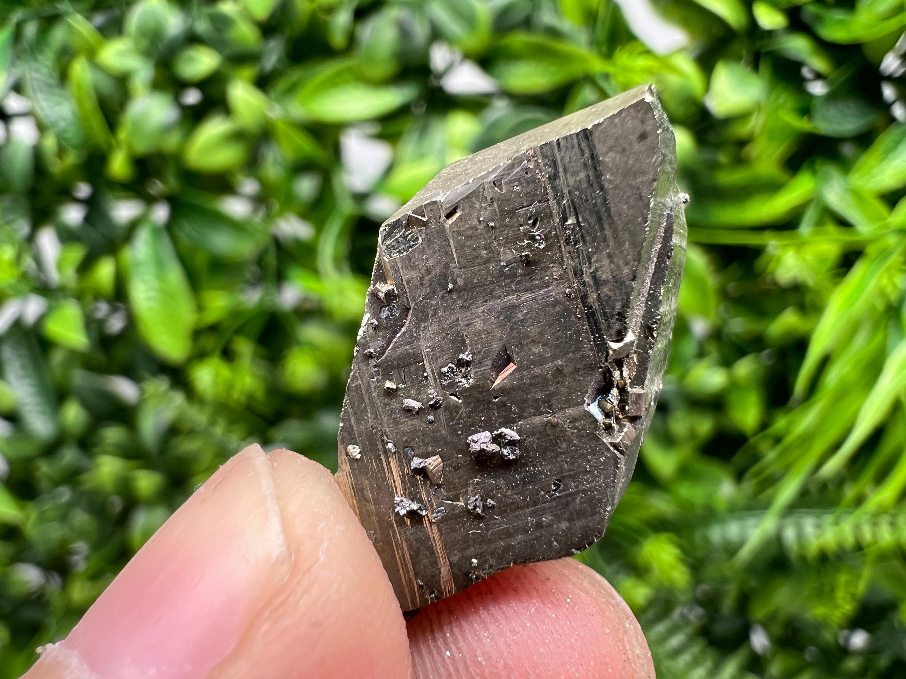 Rare Pyrite Crystal Specimen: Borieva Mine, Bulgaria